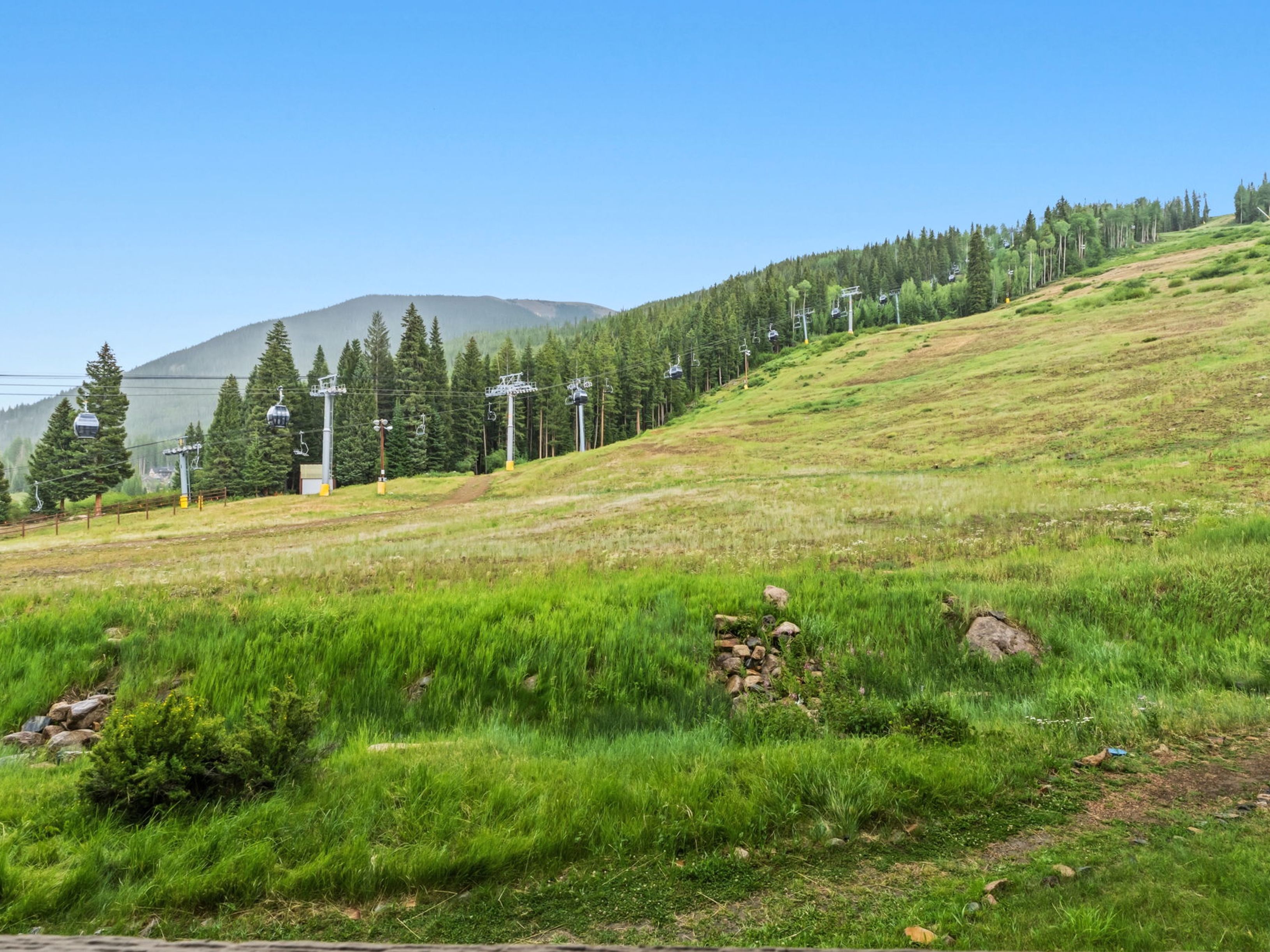 This scenic outdoor view captures a lush, grassy ski slope during the summer season, featuring a series of chairlift towers and gondola cabins ascending the mountain. The foreground showcases a natural, slightly uneven meadow with patches of wildflowers and a small rocky outcrop, leading the eye toward the dense evergreen forest that blankets the hillside. The clear blue sky provides a bright, expansive backdrop, emphasizing the recreational potential and natural beauty of the mountain resort setting.