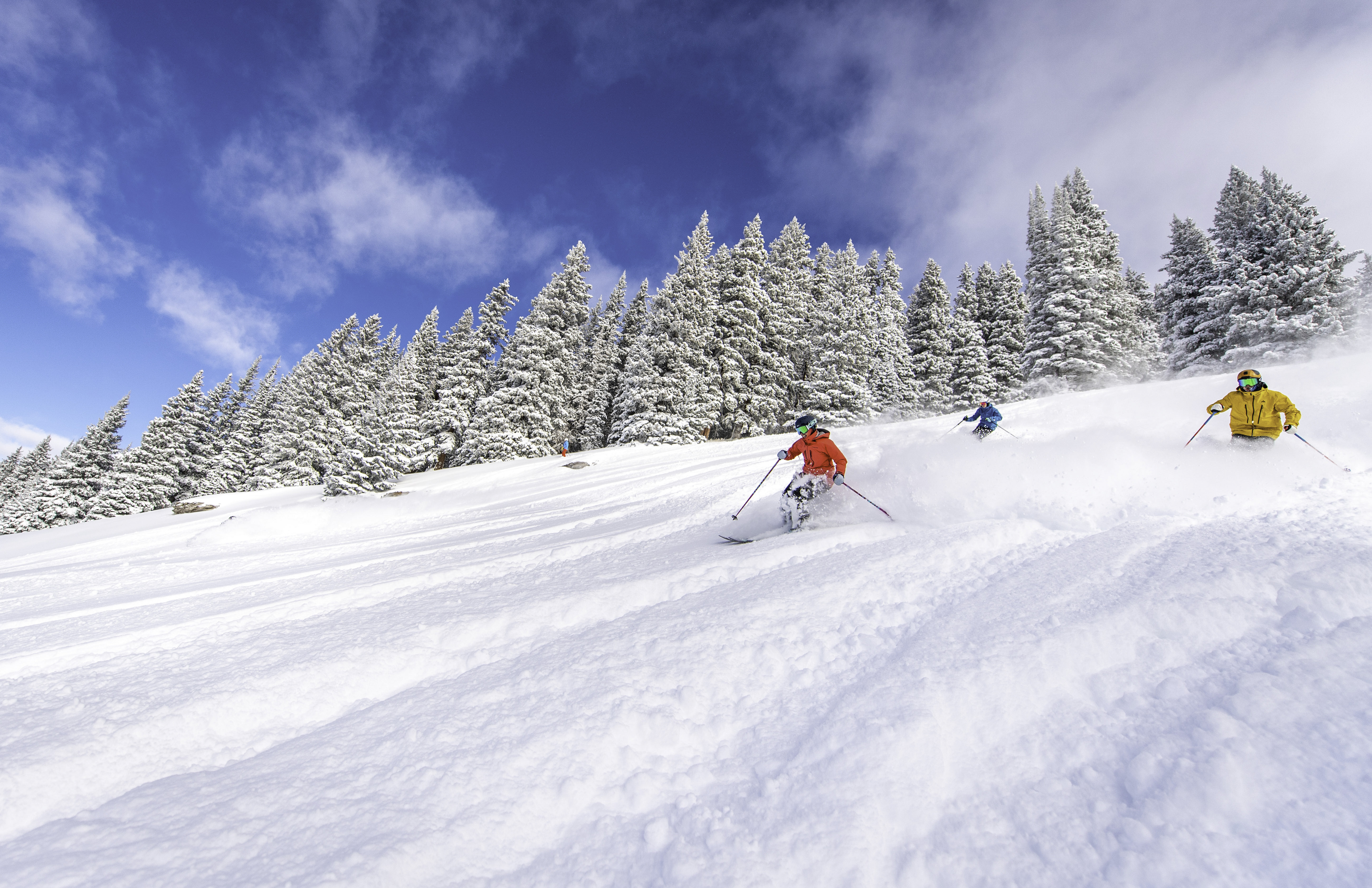 This wide-angle, cinematic shot captures three skiers carving through fresh, deep powder on a bright, sunny day at a mountain resort. The foreground features a skier in a red jacket, followed by others in blue and yellow, set against a backdrop of dense, snow-covered pine trees under a vibrant blue sky. The perspective emphasizes the vastness of the ski terrain and the pristine, wintry conditions of the landscape.