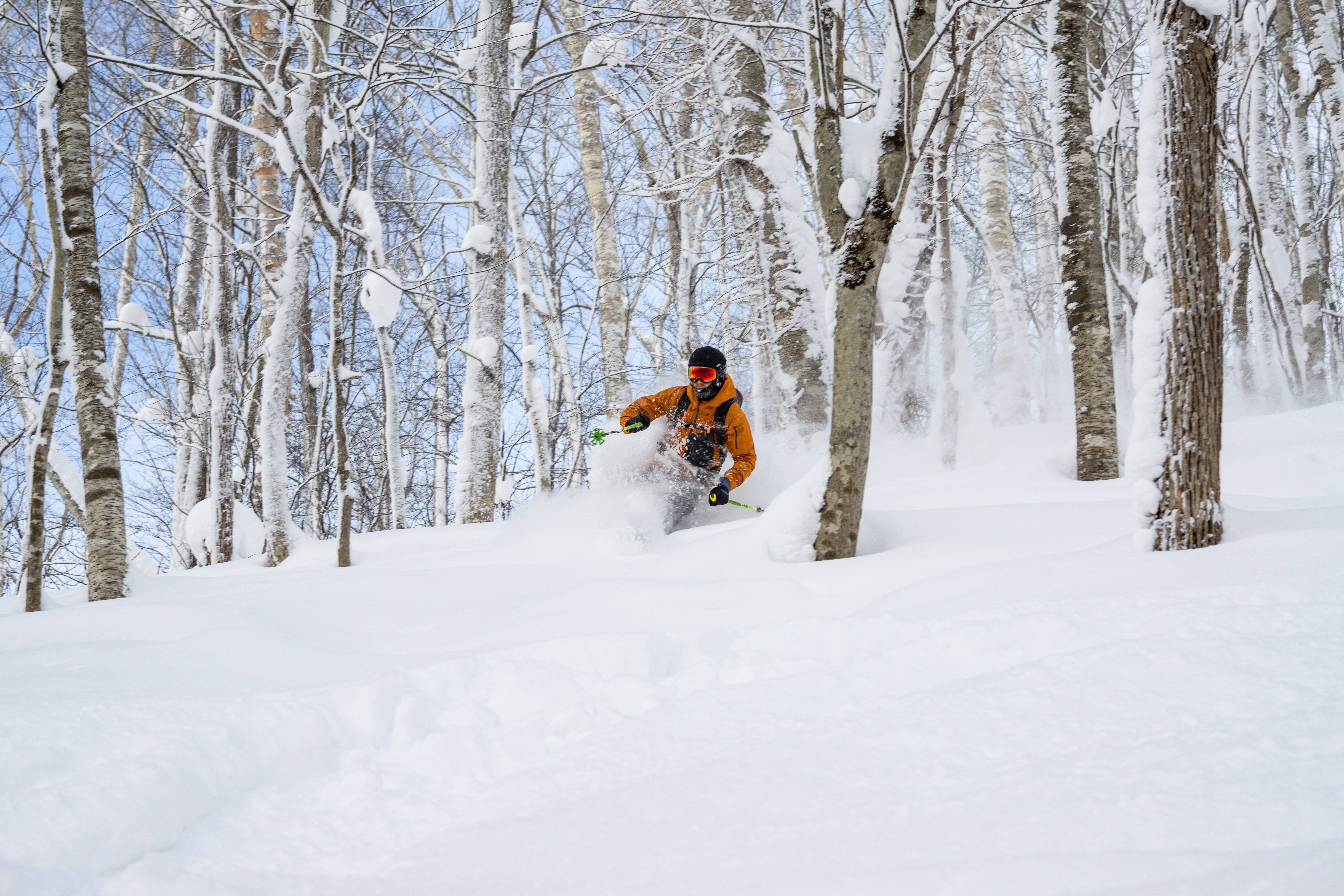 A skier in a bright orange jacket navigates through a dense, snow-covered forest, carving through deep powder. The scene captures a dynamic, high-energy moment in a winter landscape, emphasizing the natural beauty and recreational potential of the terrain. The perspective is at eye level, highlighting the skier's movement amidst the tall, snow-laden trees.