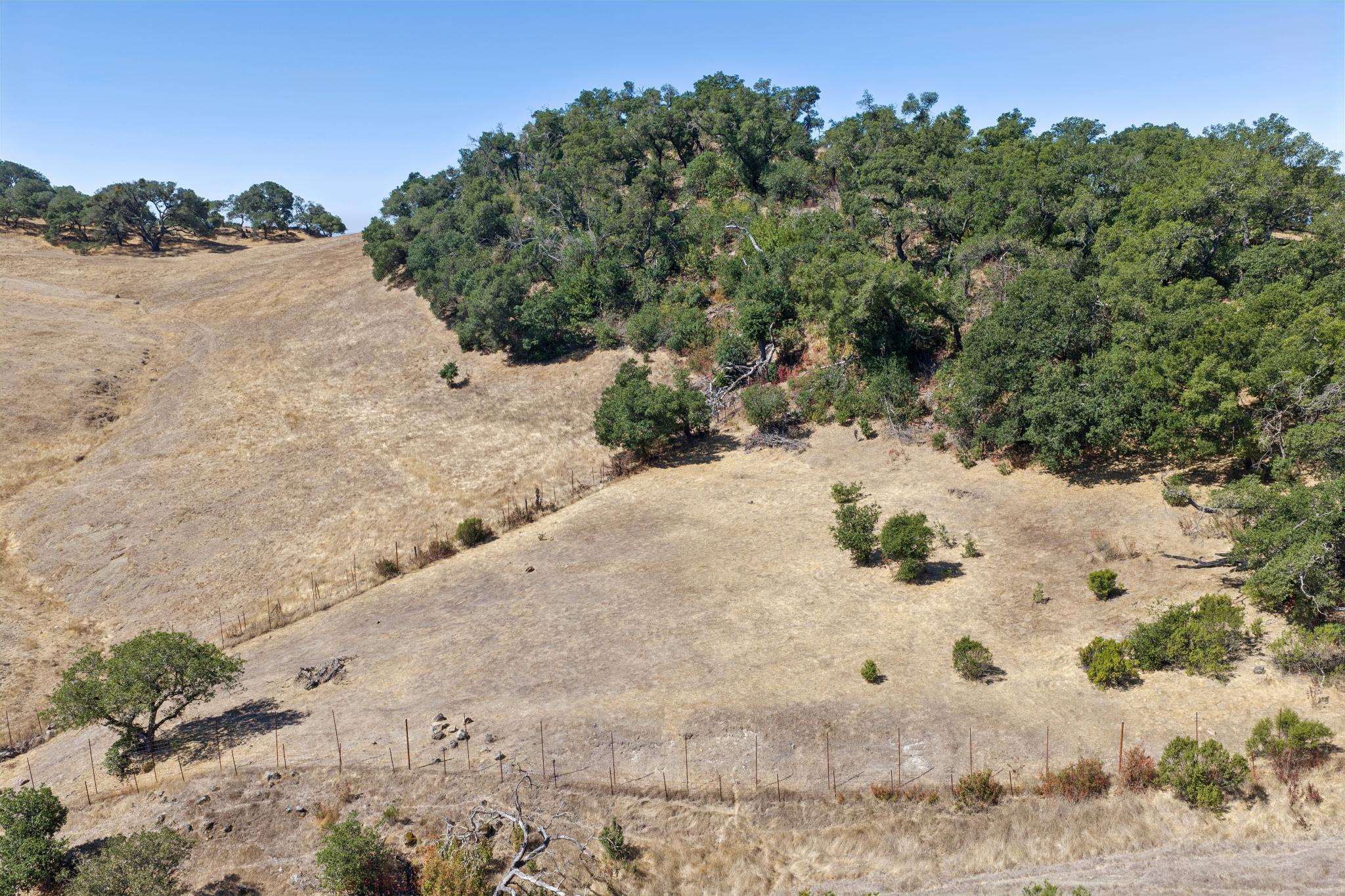 This aerial view showcases a vast, undeveloped landscape characterized by rolling hills covered in dry, golden grasses. The scene is dominated by a dense cluster of mature oak trees bordering an open, sun-drenched pasture secured by a wire fence. The rugged topography and natural vegetation suggest a serene and expansive rural setting ideal for those seeking privacy and a connection with nature.