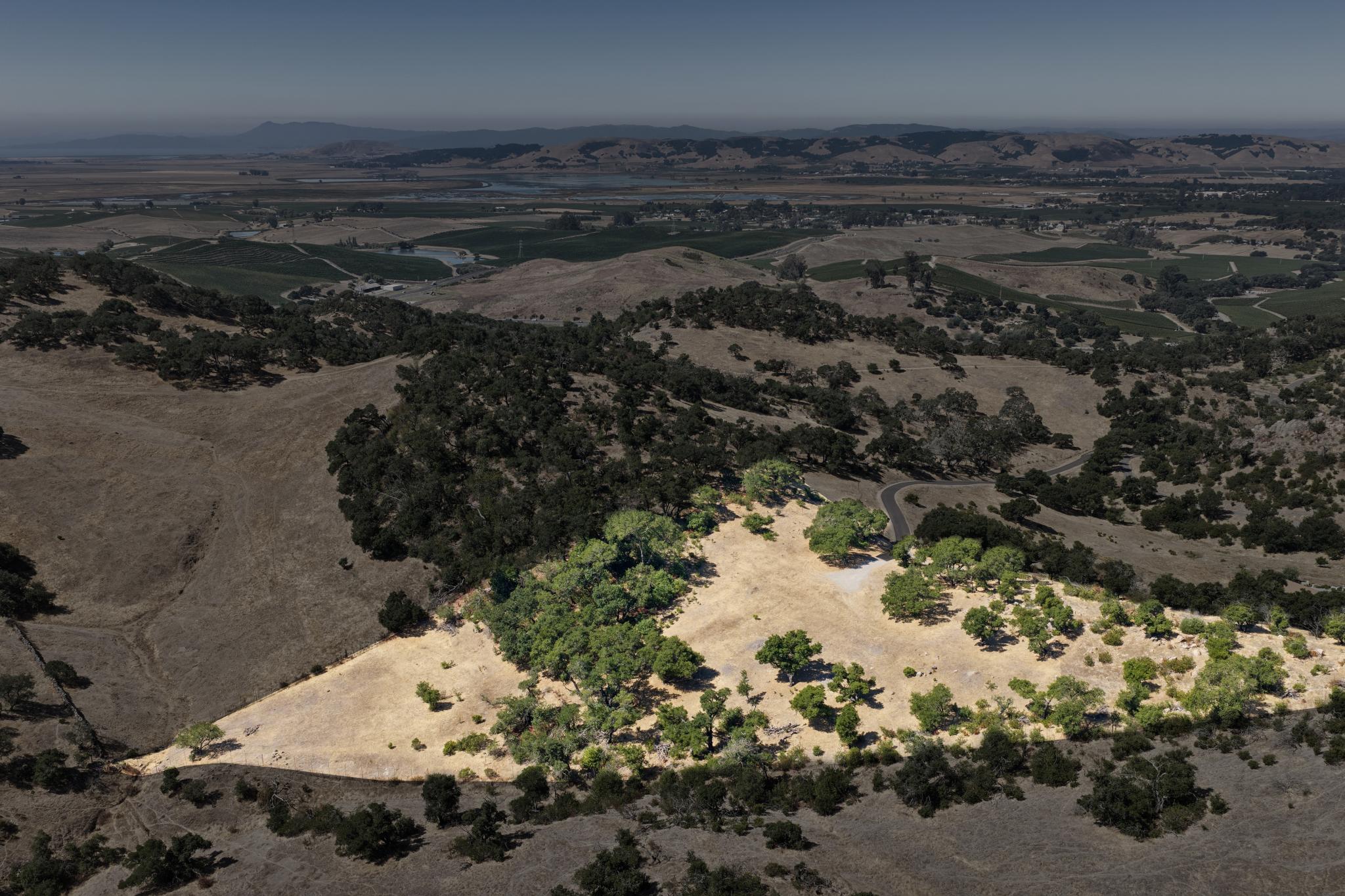 This wide-angle aerial shot showcases a expansive, hilly landscape dominated by arid, golden-brown terrain and patches of lush green oak trees. A winding road snakes through the rolling topography, offering a sense of seclusion and vast space ideal for development or nature enthusiasts. The perspective highlights the property's relationship with the surrounding natural beauty and regional views.