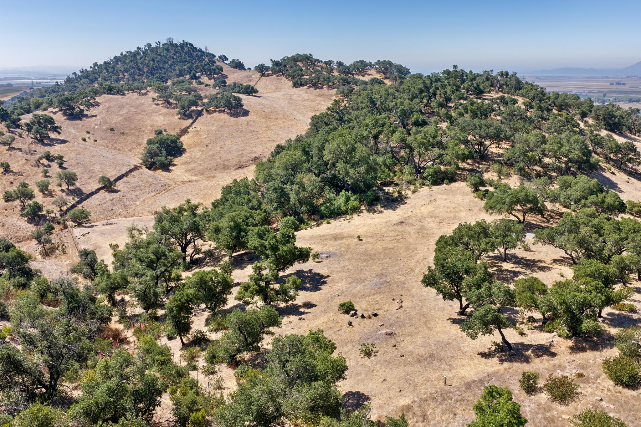This high-angle aerial view showcases a sprawling, hilly landscape characterized by dry, golden grass and scattered oak trees. The terrain features rolling slopes and natural topography, suggesting a large parcel of land suitable for rural development or nature-focused living. The scene captures the raw, natural beauty of the countryside with an expansive, open feel.