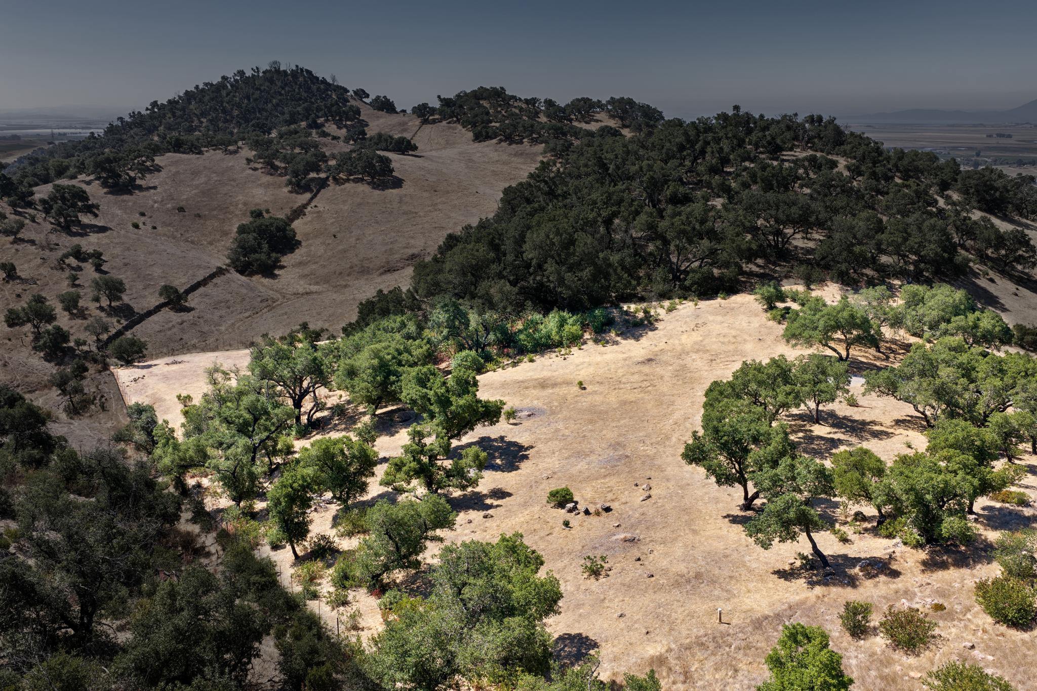 This aerial view showcases a spacious, dry, and rolling hillside landscape filled with mature oak trees and open meadows. The terrain features a natural, rustic aesthetic with a clear distinction between wooded slopes and cleared, sun-drenched pasture land. It offers a peaceful and expansive setting ideal for rural property development or scenic countryside living.
