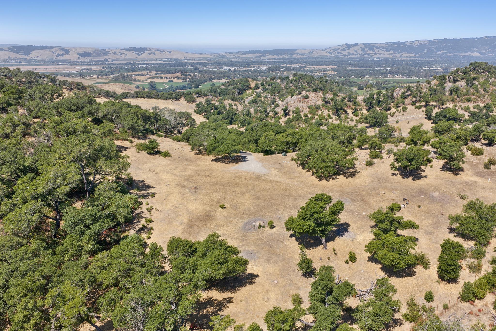 This high-angle aerial view showcases a expansive, sun-drenched plot of land characterized by rolling golden hills, mature oak trees, and a gravel driveway. The property offers sweeping, scenic views of the distant valley and mountain ranges, suggesting excellent potential for a custom home site or private retreat. The landscape is primarily natural, featuring open dry grass areas balanced by clusters of native trees.