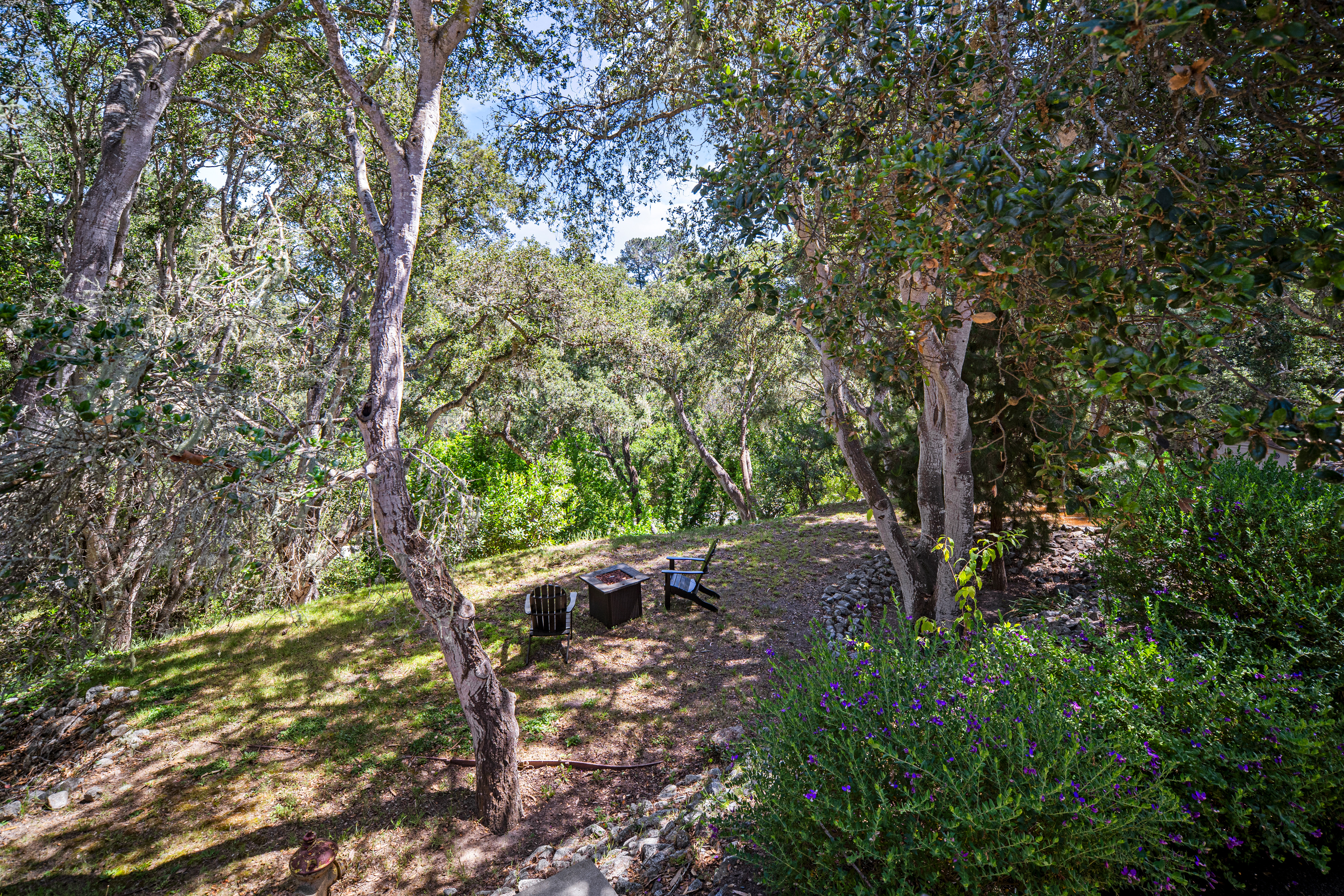 This serene, wooded backyard features a natural, sloped landscape shaded by mature oak trees. A small, cleared area serves as a cozy seating nook with two Adirondack chairs positioned around a central fire pit. The scene is framed by lush greenery and a vibrant purple flowering bush in the foreground, creating a peaceful and secluded outdoor retreat.