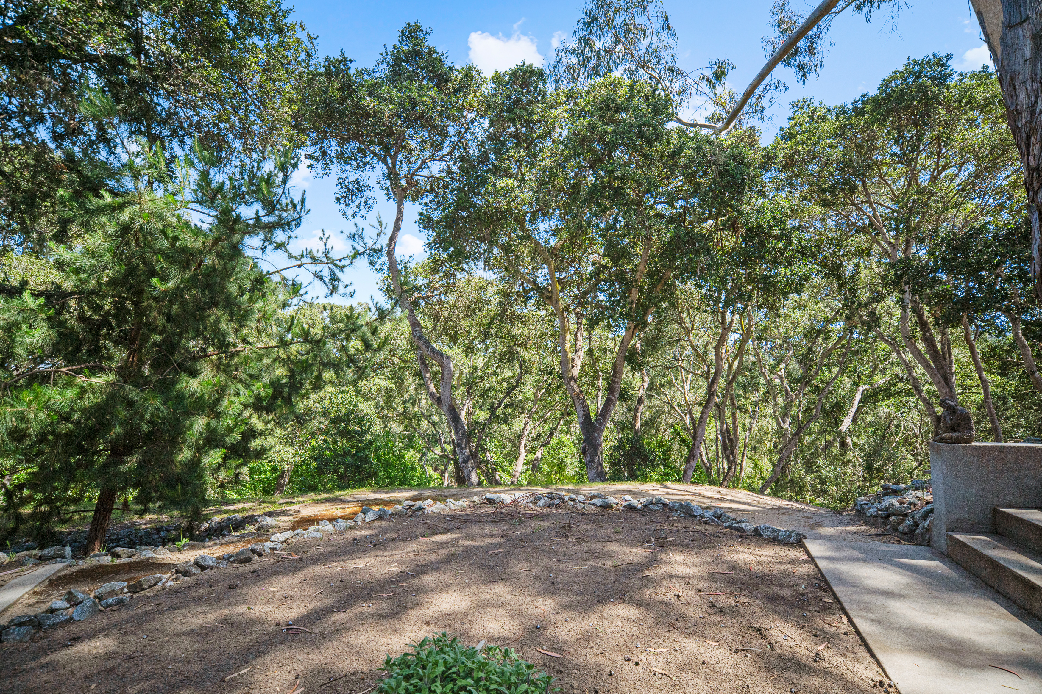 This outdoor space features a natural, dirt-ground clearing bordered by a low, curved stone retaining wall, set against a backdrop of dense, mature trees. A concrete staircase leads up to a small landing on the right, where a decorative statue sits, suggesting a peaceful, wooded retreat. The perspective is from ground level, capturing the serene and rustic atmosphere of a private, nature-integrated landscape.