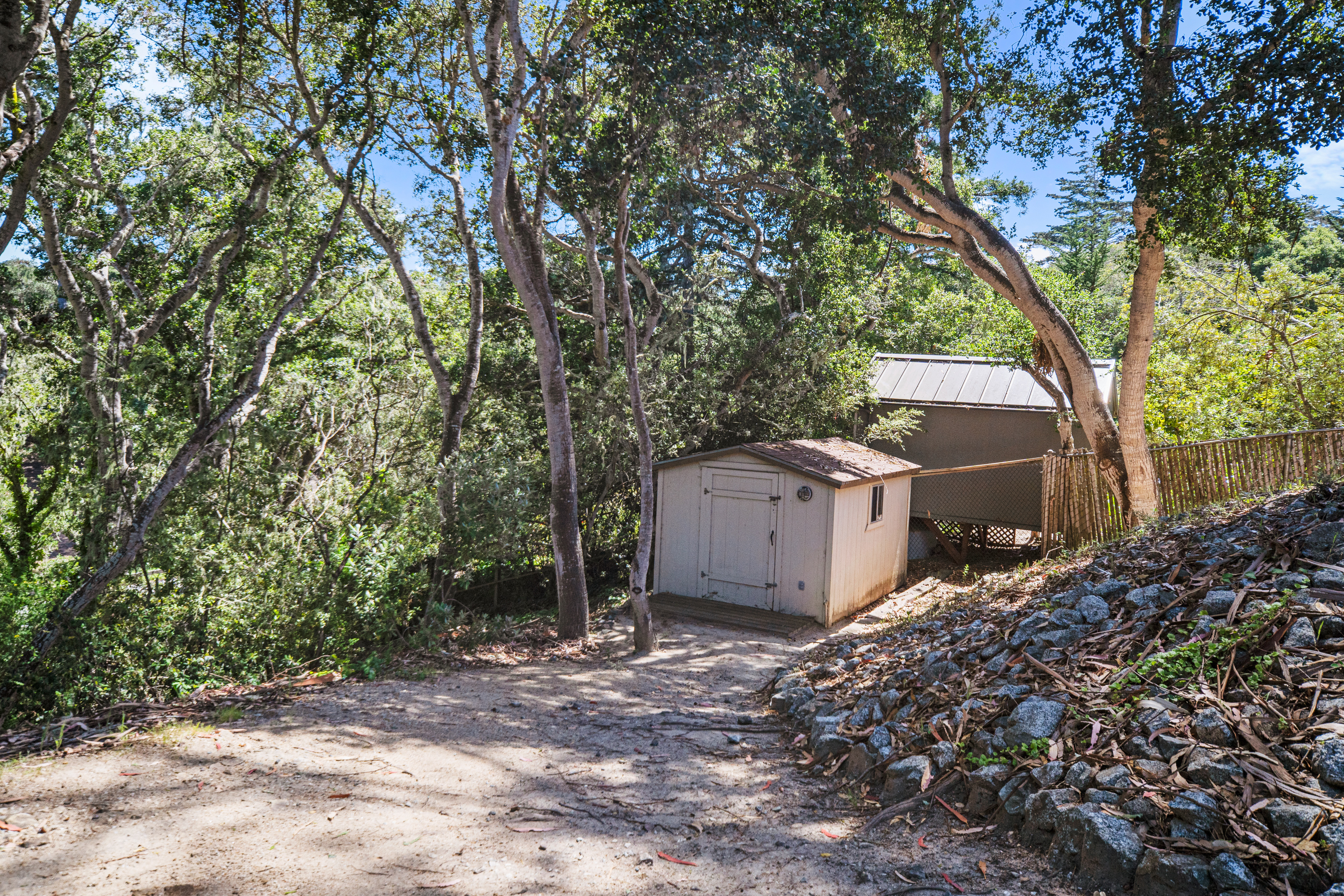 This outdoor scene features a small, light-colored storage shed nestled among mature trees on a sloped, wooded lot. A dirt path leads toward the shed, while a stone retaining wall borders the right side of the frame, leading up to a larger, elevated structure partially obscured by foliage. The setting offers a rustic, secluded atmosphere with dappled sunlight filtering through the dense canopy.