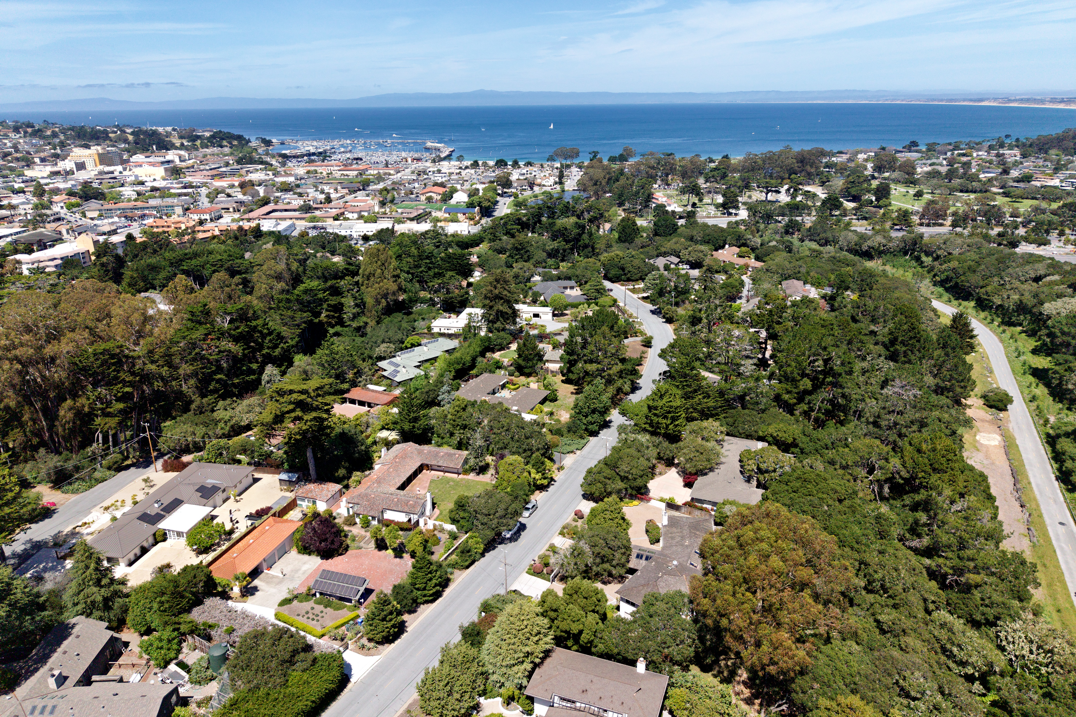 This high-angle aerial perspective captures a lush, tree-lined residential neighborhood nestled along a coastal landscape. The scene features single-family homes with varied rooflines and driveways, surrounded by dense greenery and winding roads that lead toward a distant harbor and the open ocean. The bright, clear daylight highlights the expansive suburban layout and the scenic proximity to the water.