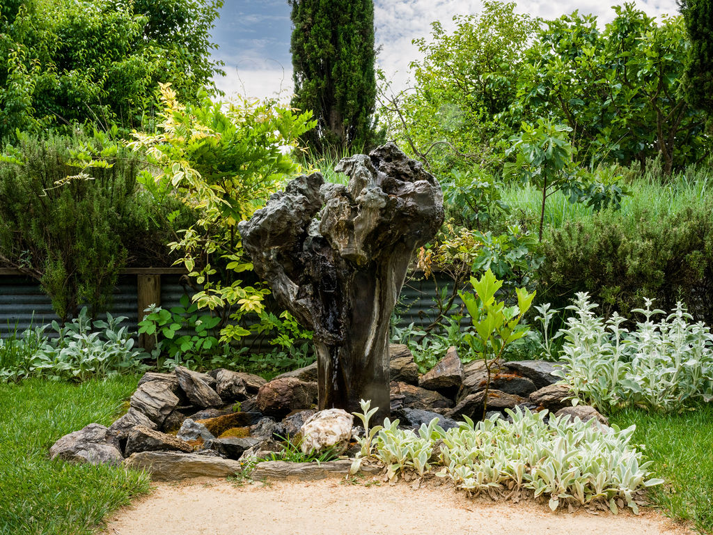 This garden scene features a central water feature crafted from a weathered, sculptural piece of driftwood set amidst a bed of dark, rugged stones. The surrounding landscape is lush with a variety of green shrubs, tall cypress trees, and patches of silver-leafed plants, all framed by a rustic corrugated metal fence. A light-colored gravel path leads up to the rock garden, creating a serene and naturalistic outdoor retreat.