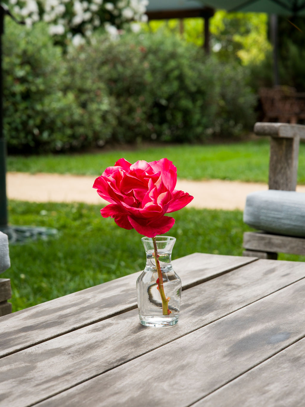 A vibrant pink rose sits in a small glass vase on a weathered wooden outdoor table. The perspective is a close-up shot that captures the delicate petals of the flower against a soft-focus background of a lush green lawn and garden. The scene evokes a peaceful, relaxing outdoor atmosphere suitable for a patio or deck setting.