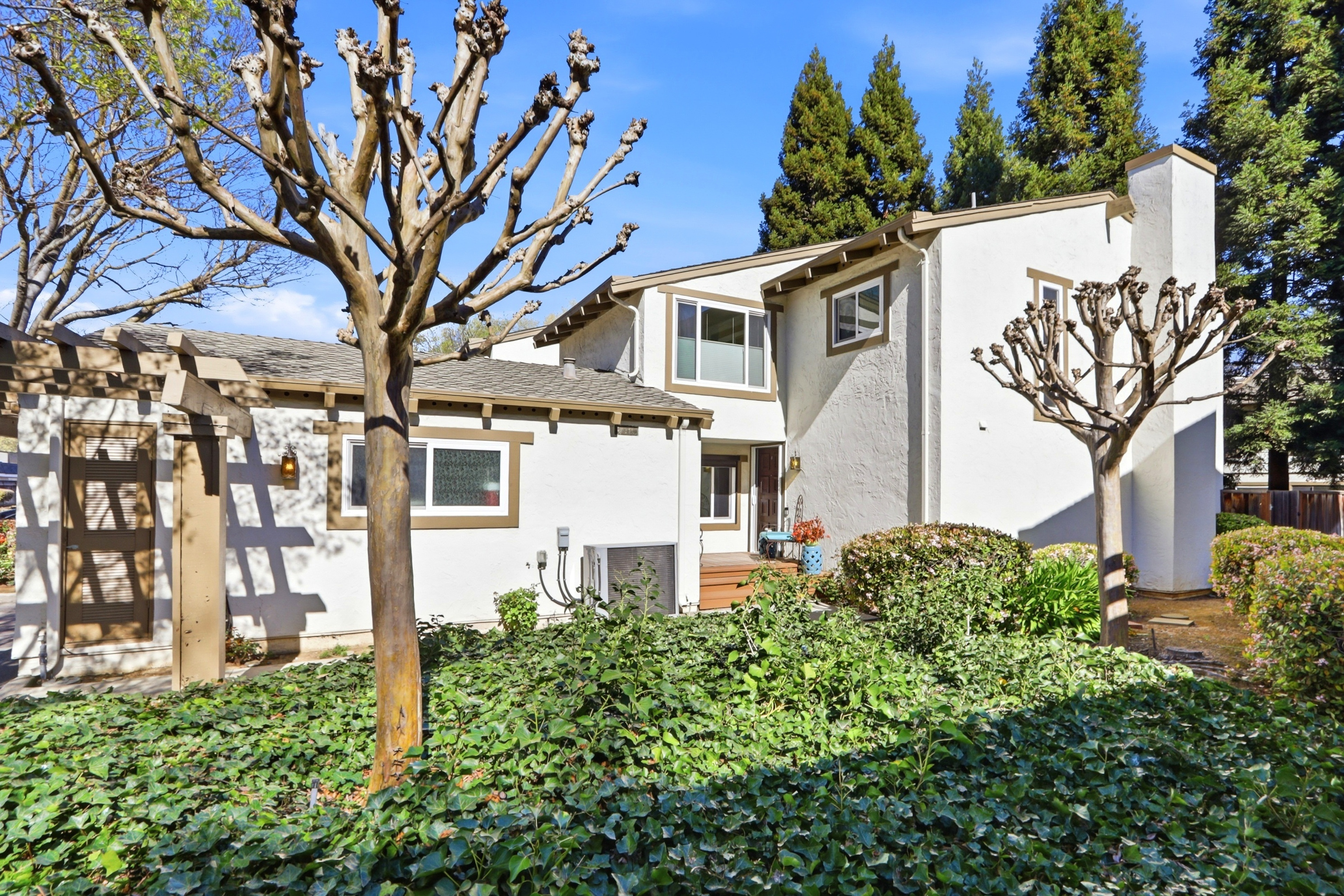 This exterior view captures the rear of a two-story home featuring a light-colored stucco facade with brown trim and a wooden pergola structure on the left. A lush, dense ground cover of ivy fills the foreground, leading up to a small wooden deck and entryway, while two prominent, pruned trees frame the house. The scene is bathed in bright, clear daylight, highlighting the home's architectural lines and the surrounding mature landscaping.