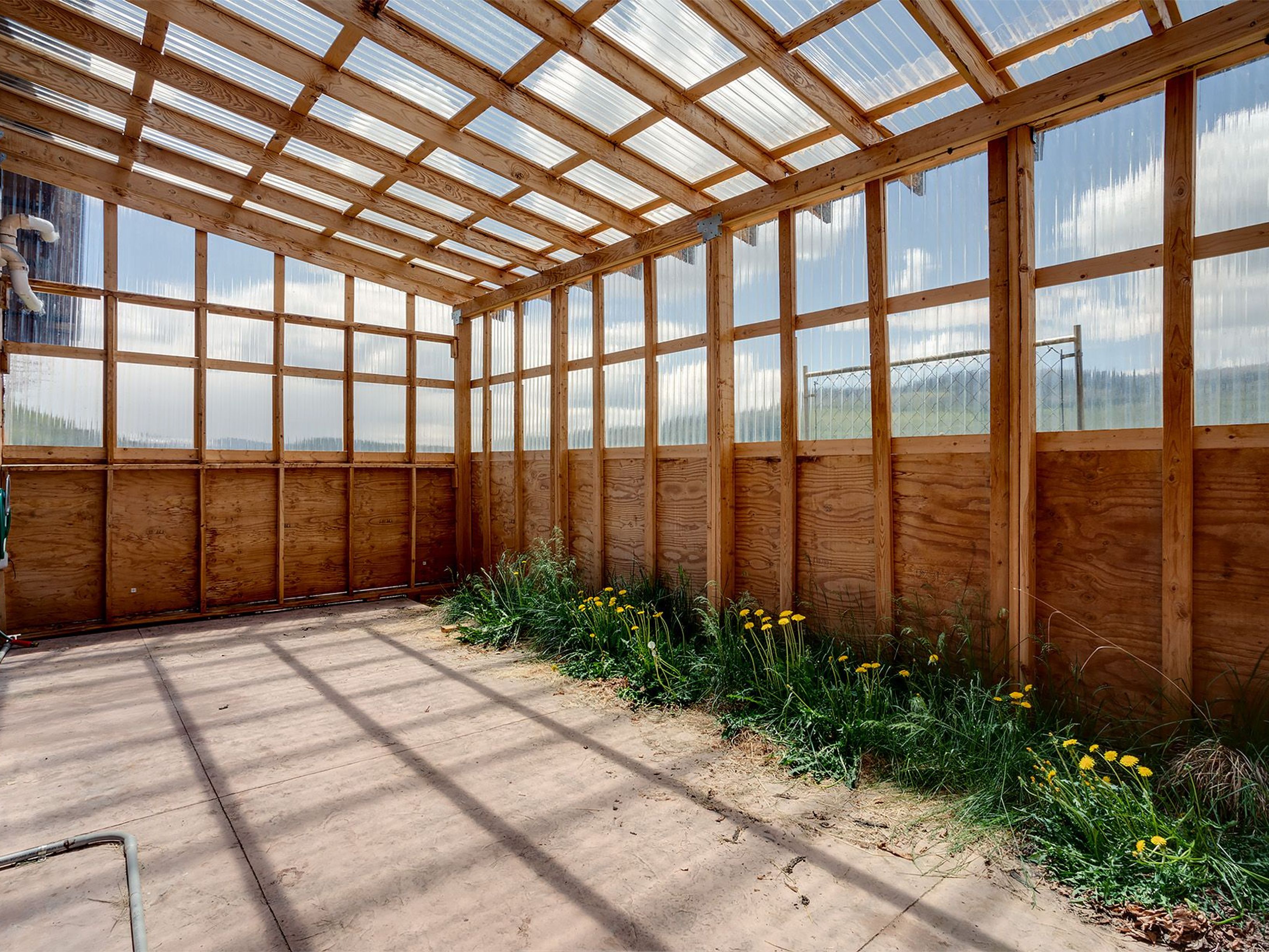The image showcases the interior of a sunroom or conservatory with a wooden frame and translucent roof panels filtering natural light. Plywood forms the lower section of the walls, while transparent panels sit above, offering views of the landscape. Plants thrive along the base of the walls, adding greenery and character to the space.