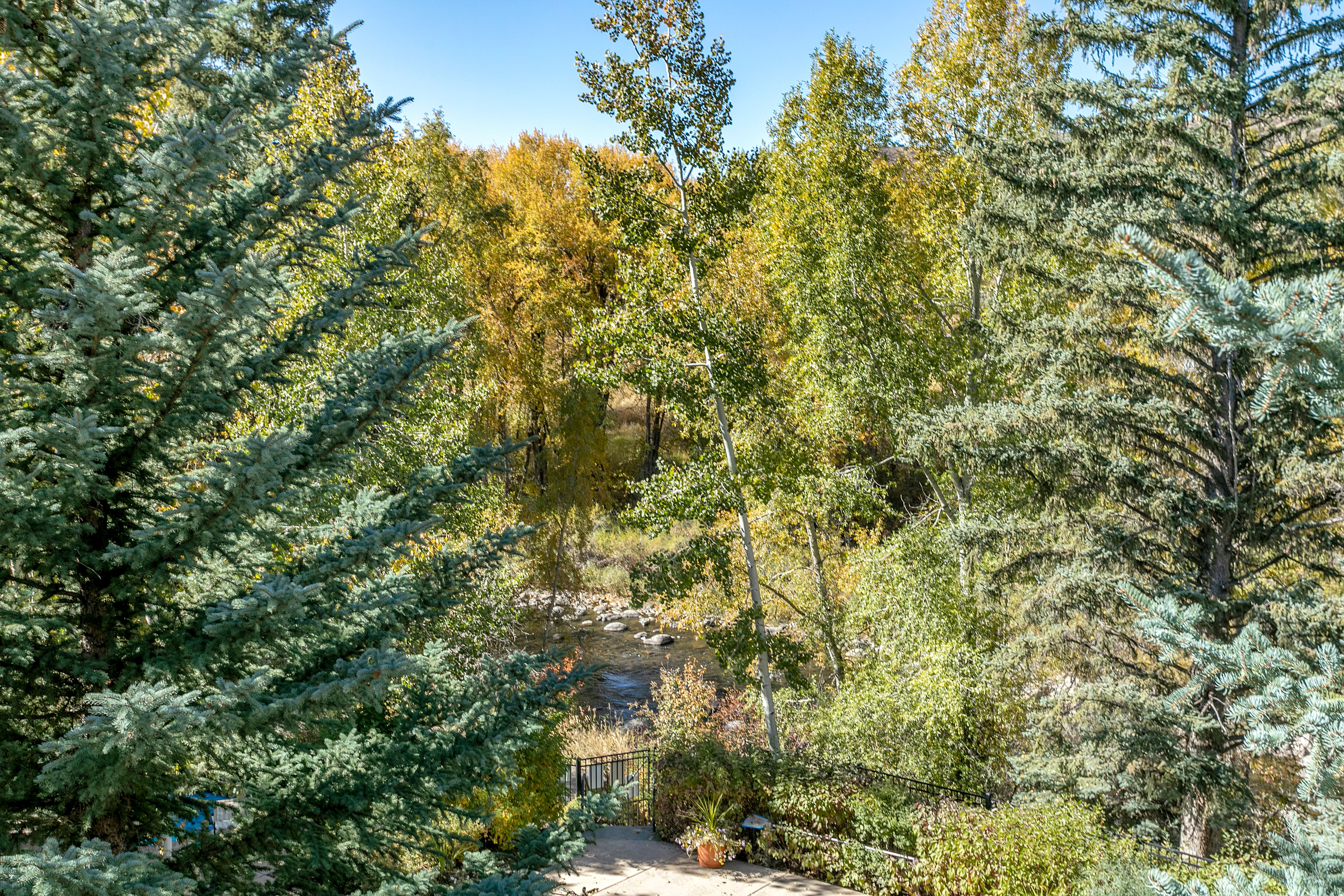 This image showcases a serene backyard garden with a view of a flowing river. Lush greenery, including mature trees with autumn foliage, frames the scene, creating a sense of privacy and tranquility. A stone pathway leads to a wrought-iron fence overlooking the water, suggesting a peaceful retreat.