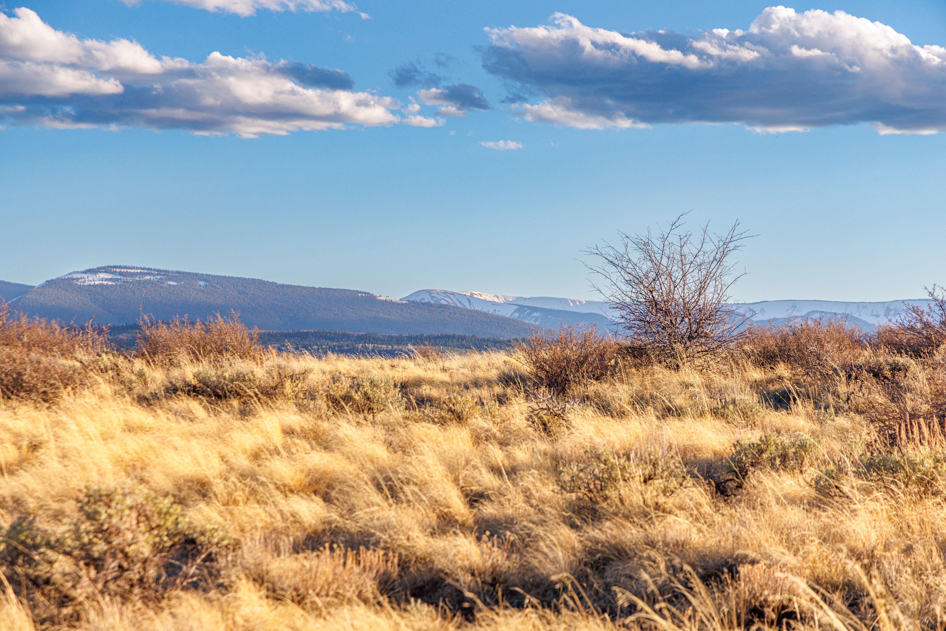 This scenic landscape shot captures a vast, golden-hued field of dry prairie grass under a bright blue sky dotted with soft, white clouds. In the distance, rolling hills and snow-capped mountains create a majestic backdrop, emphasizing the expansive and serene nature of the property's surroundings. The perspective is a wide, eye-level shot that highlights the natural beauty and open space of the terrain.