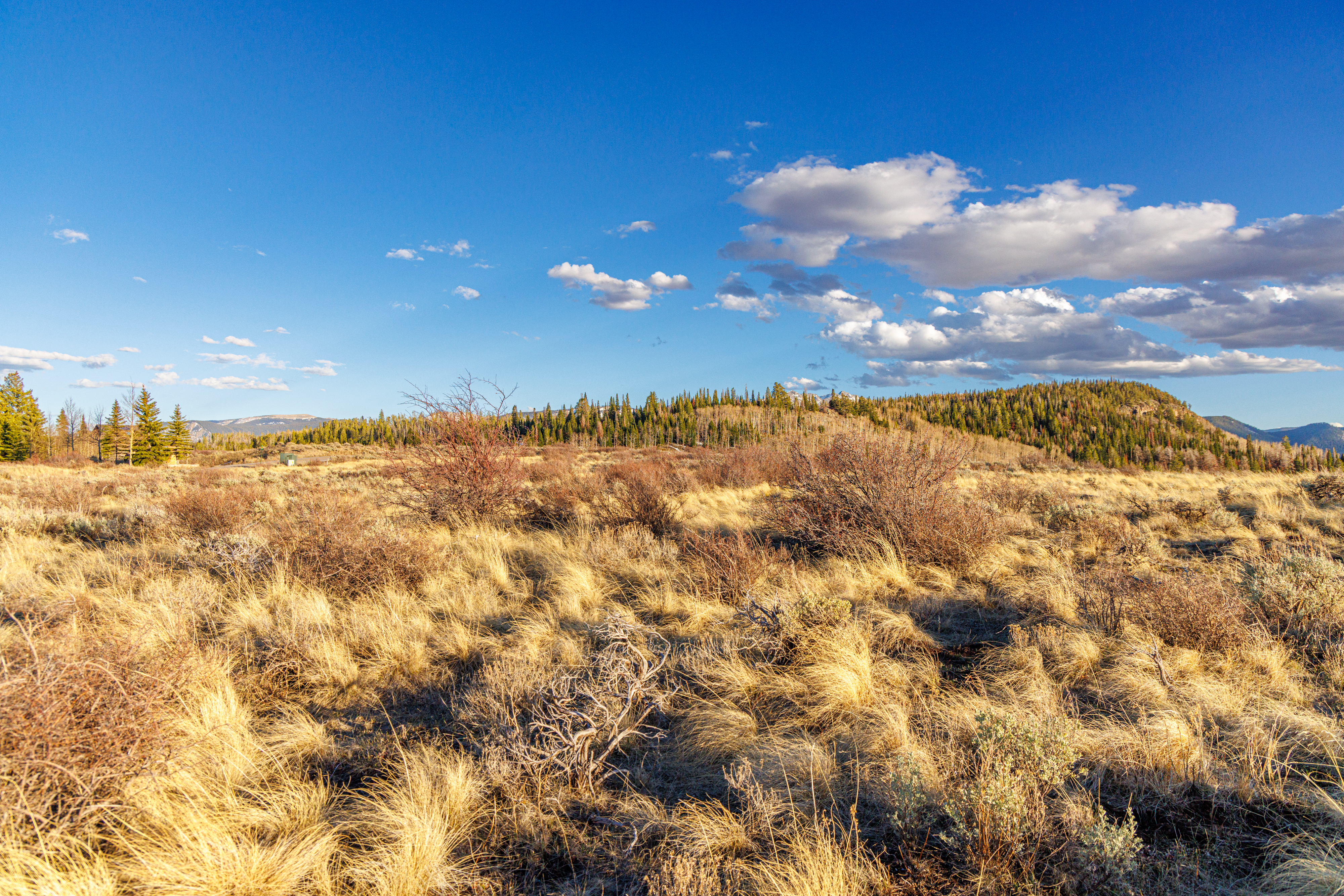 This wide-angle landscape shot captures a vast, golden-hued meadow filled with dry grasses and low-lying shrubs under a vibrant blue sky with scattered clouds. In the background, a dense forest of evergreen trees stretches across a gentle rise, leading the eye toward distant, faint mountain peaks. The scene evokes a sense of expansive, serene wilderness, ideal for showcasing the natural surroundings of a rural or mountain property.