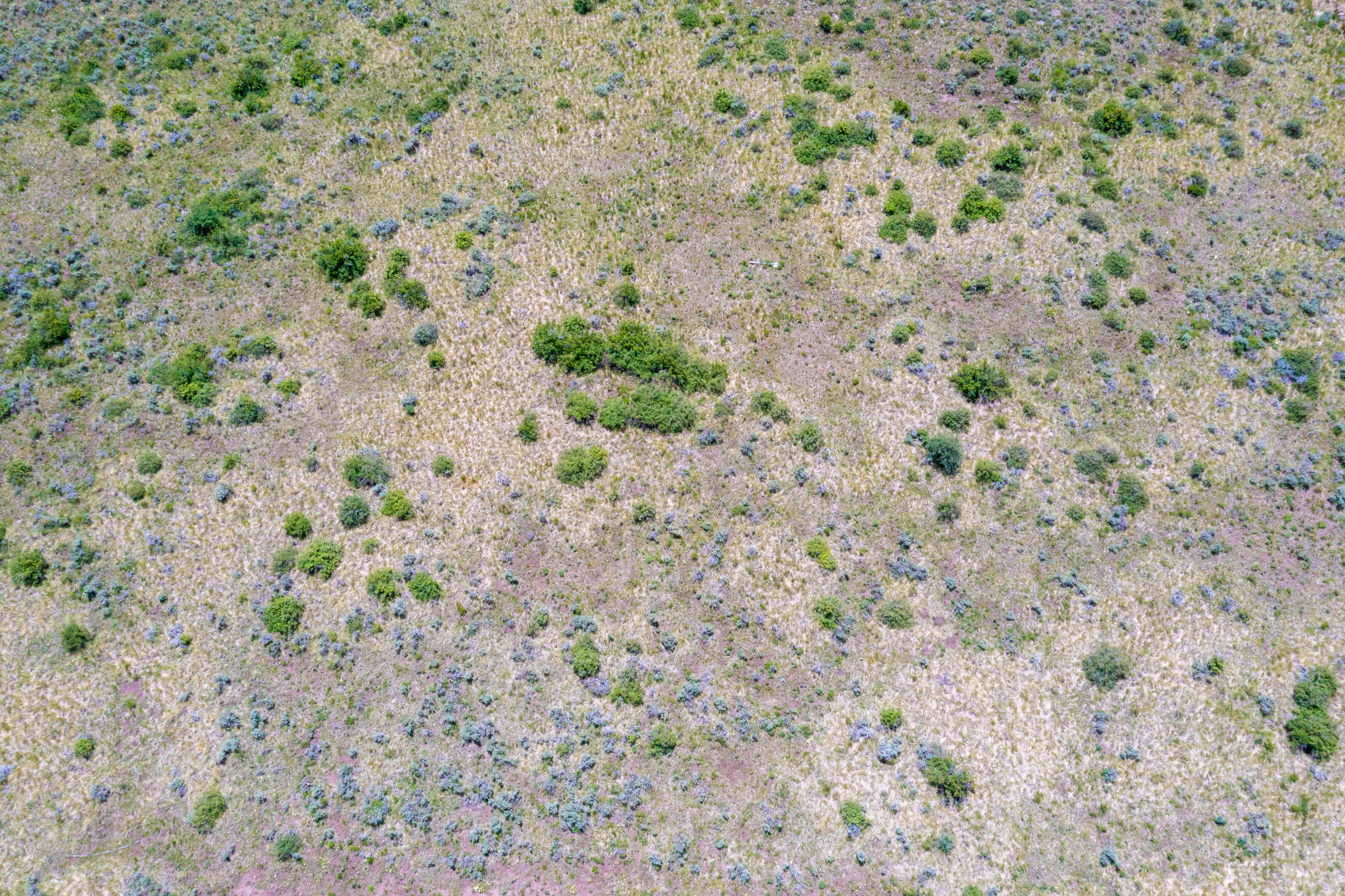 This high-angle aerial view captures a vast, open landscape characterized by dry, golden-brown grasses interspersed with patches of low-lying green shrubs and sage-colored vegetation. The terrain appears rugged and natural, suggesting a rural or undeveloped plot of land. The perspective provides a comprehensive overview of the topography, highlighting the natural textures and vegetation patterns across the expansive field.