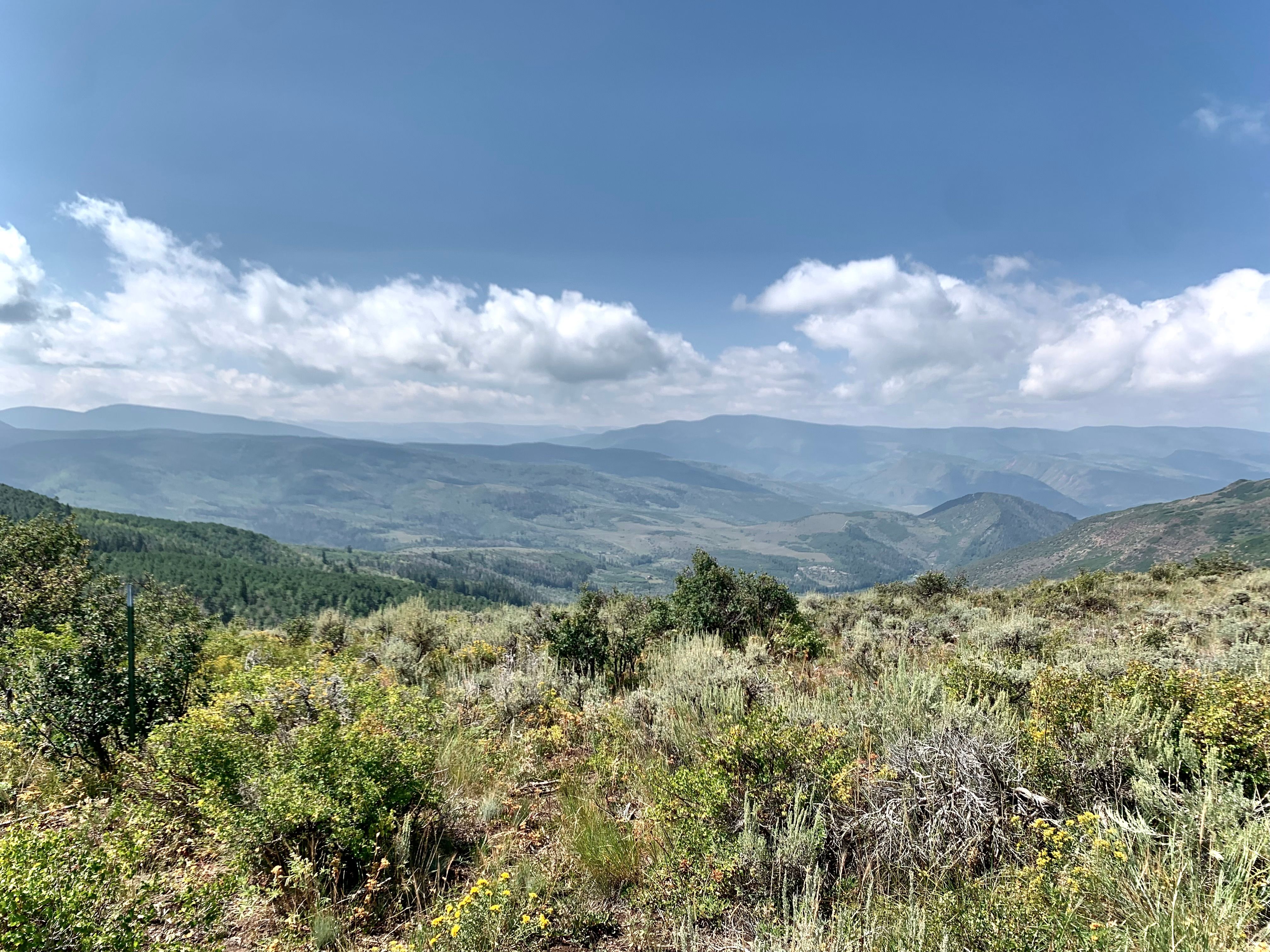 This image captures a sweeping, panoramic view of a vast mountain landscape, showcasing rolling hills, dense forests, and distant peaks under a bright, cloudy sky. The foreground features native high-altitude vegetation, including sagebrush and wildflowers, which adds a sense of rugged, natural beauty to the scene. The perspective is from a high vantage point, emphasizing the expansive scale and serene atmosphere of the wilderness.