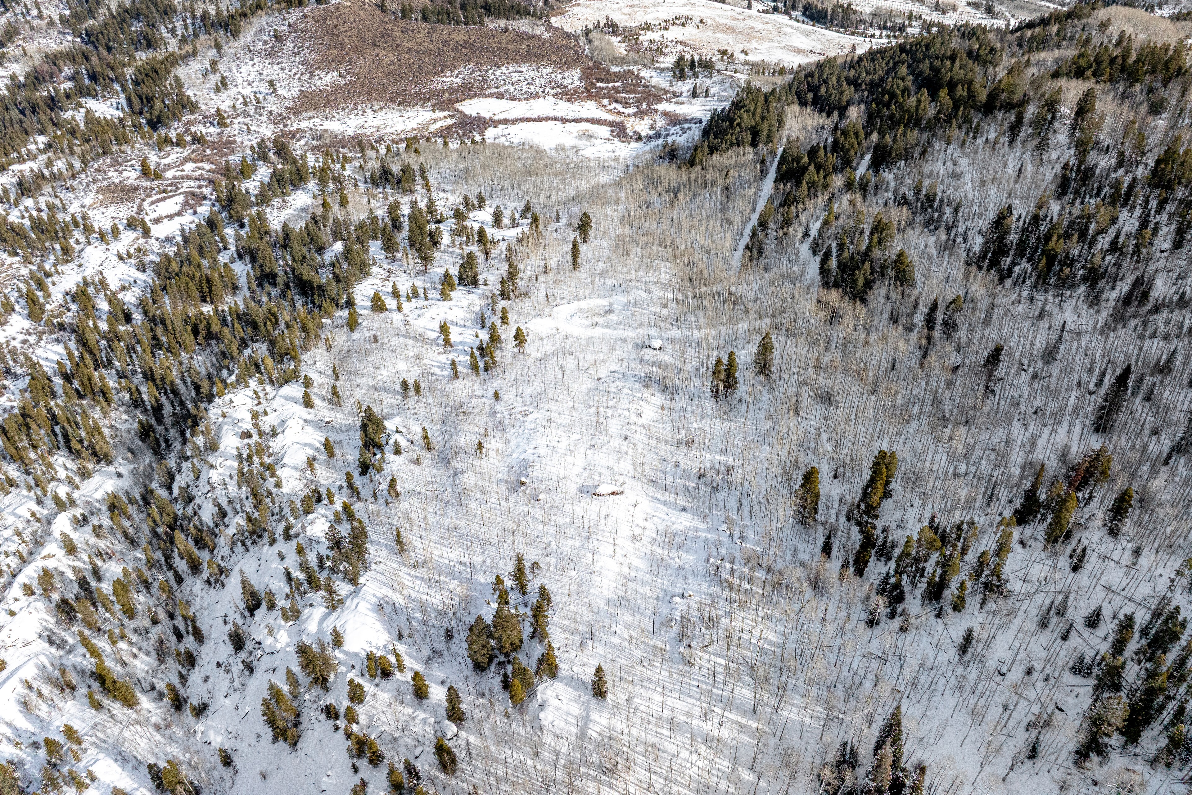 This aerial view showcases a snow-covered landscape featuring a mix of evergreen and aspen trees. The varying terrain adds visual interest and would appeal to buyers seeking privacy or recreational opportunities. A small structure is visible amidst the trees, hinting at a secluded cabin or house.