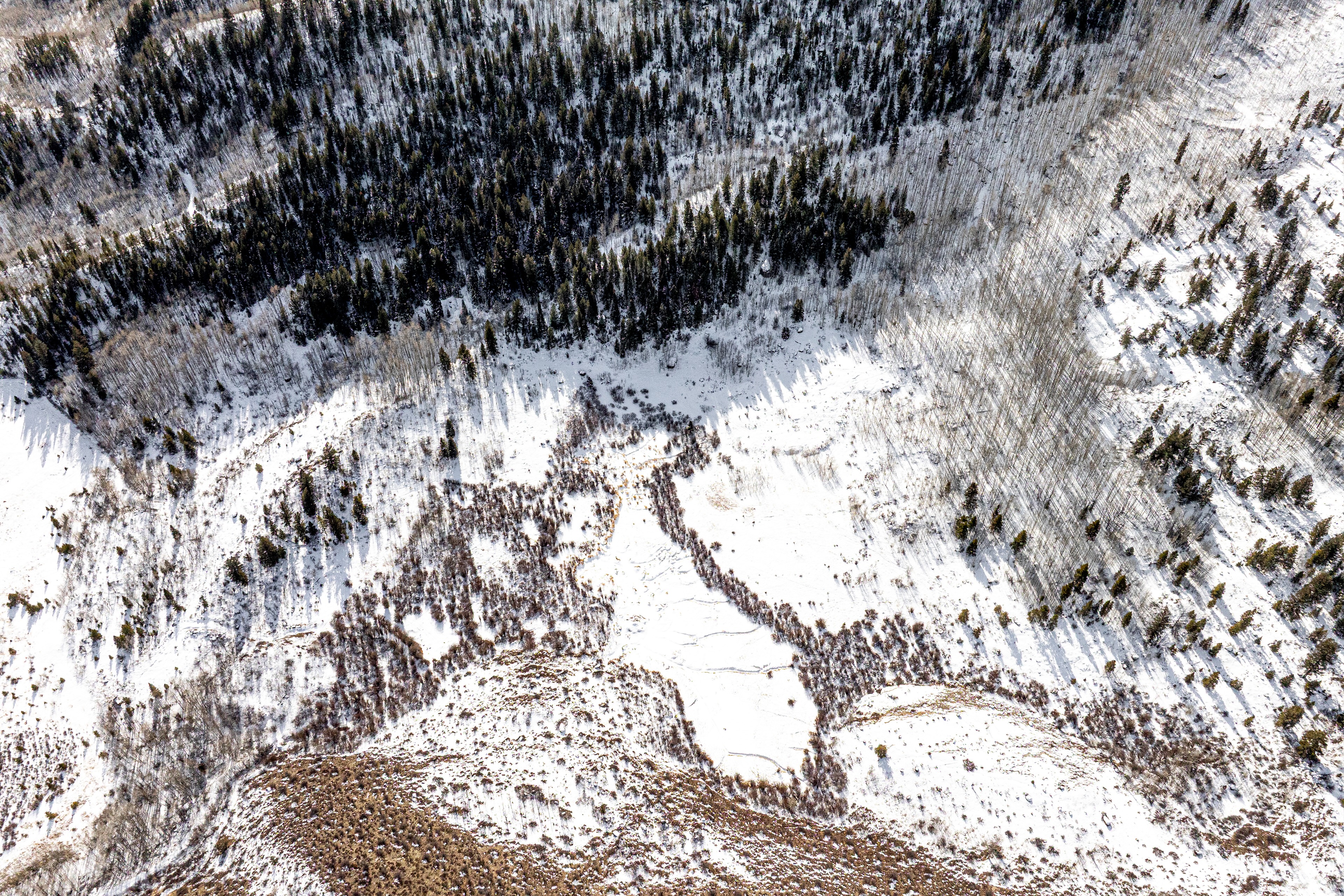 This aerial view captures a mountainous landscape partially covered in snow, showcasing a mix of dense evergreen forests and bare trees. The varied terrain and the contrast between the snow-covered areas and the exposed land create a visually appealing scene. The image provides a sense of the property's scale and natural setting.