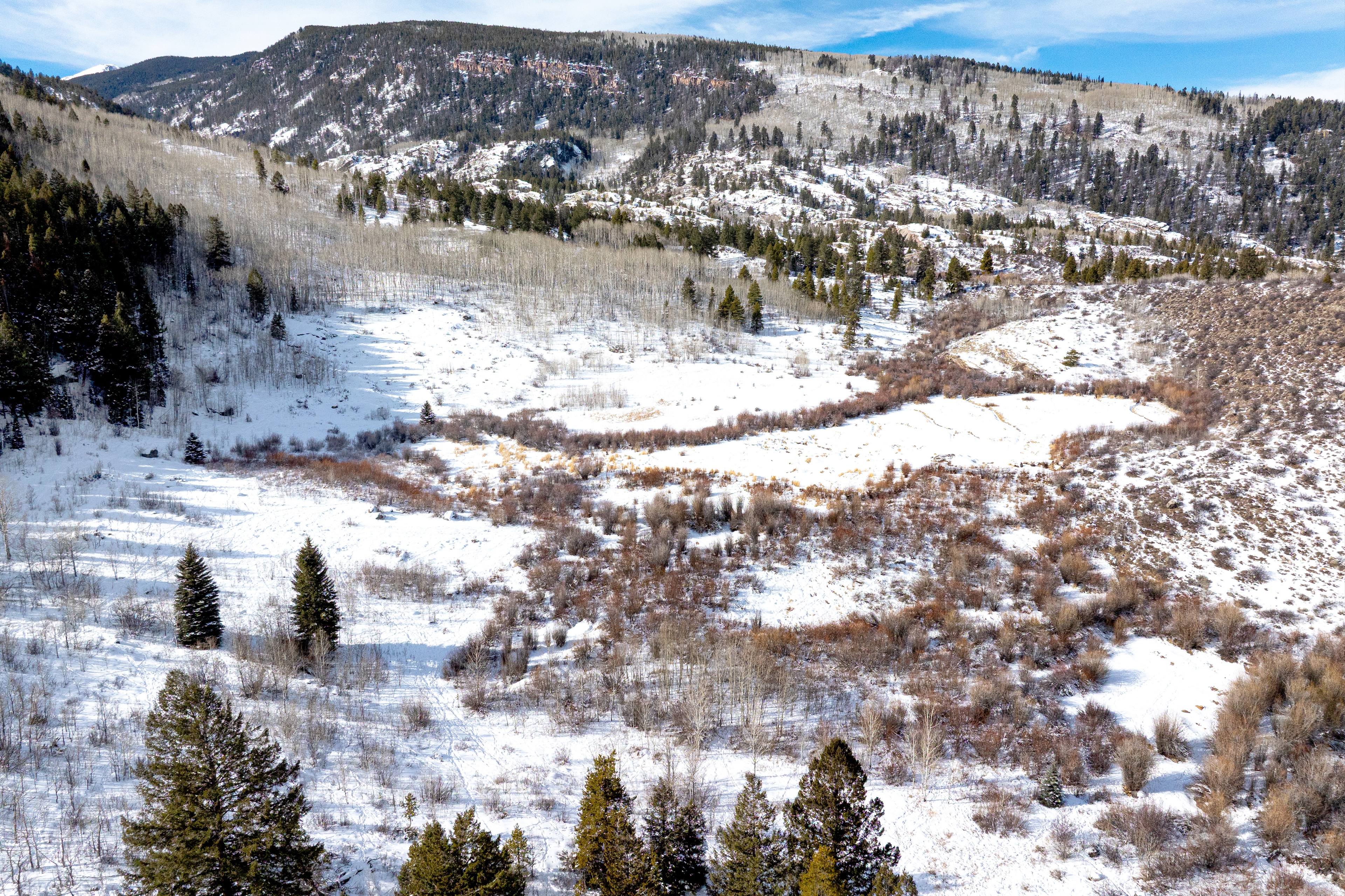 This aerial view showcases a snow-covered landscape, potentially highlighting a large property or acreage available for sale. The scene features a mix of evergreen trees, deciduous trees, and open snowy areas creating a diverse natural environment. The distant mountain range adds scenic value and suggests a secluded location, ideal for a buyer seeking privacy or recreational opportunities.