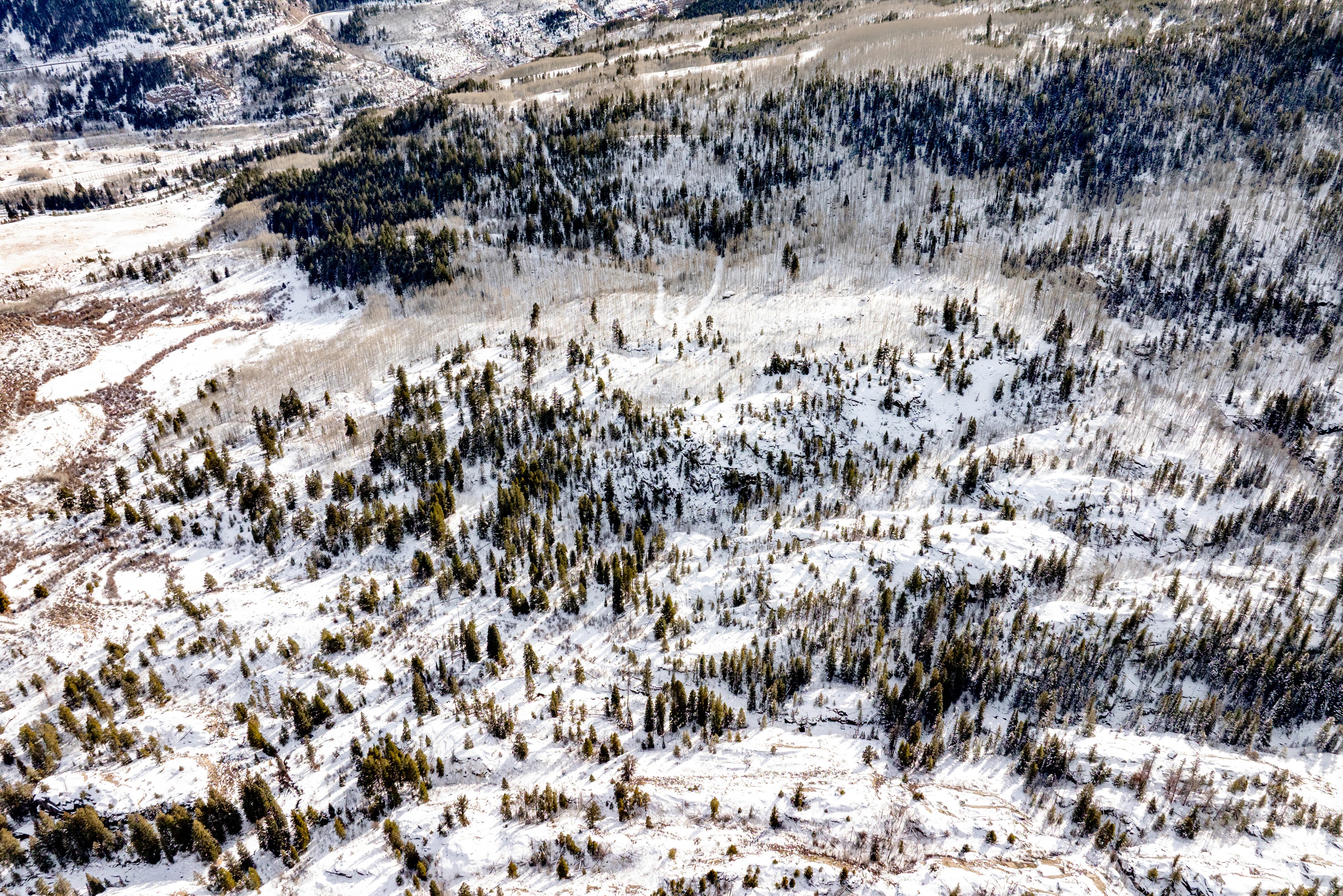 An aerial view showcases a snow-covered landscape with dense clusters of trees and patches of open space. The trees, a mix of evergreen and deciduous, create a varied texture across the terrain giving a serene and natural landscape impression. This view emphasizes the property's potentially secluded mountain location, highlighting views from this perspective.
