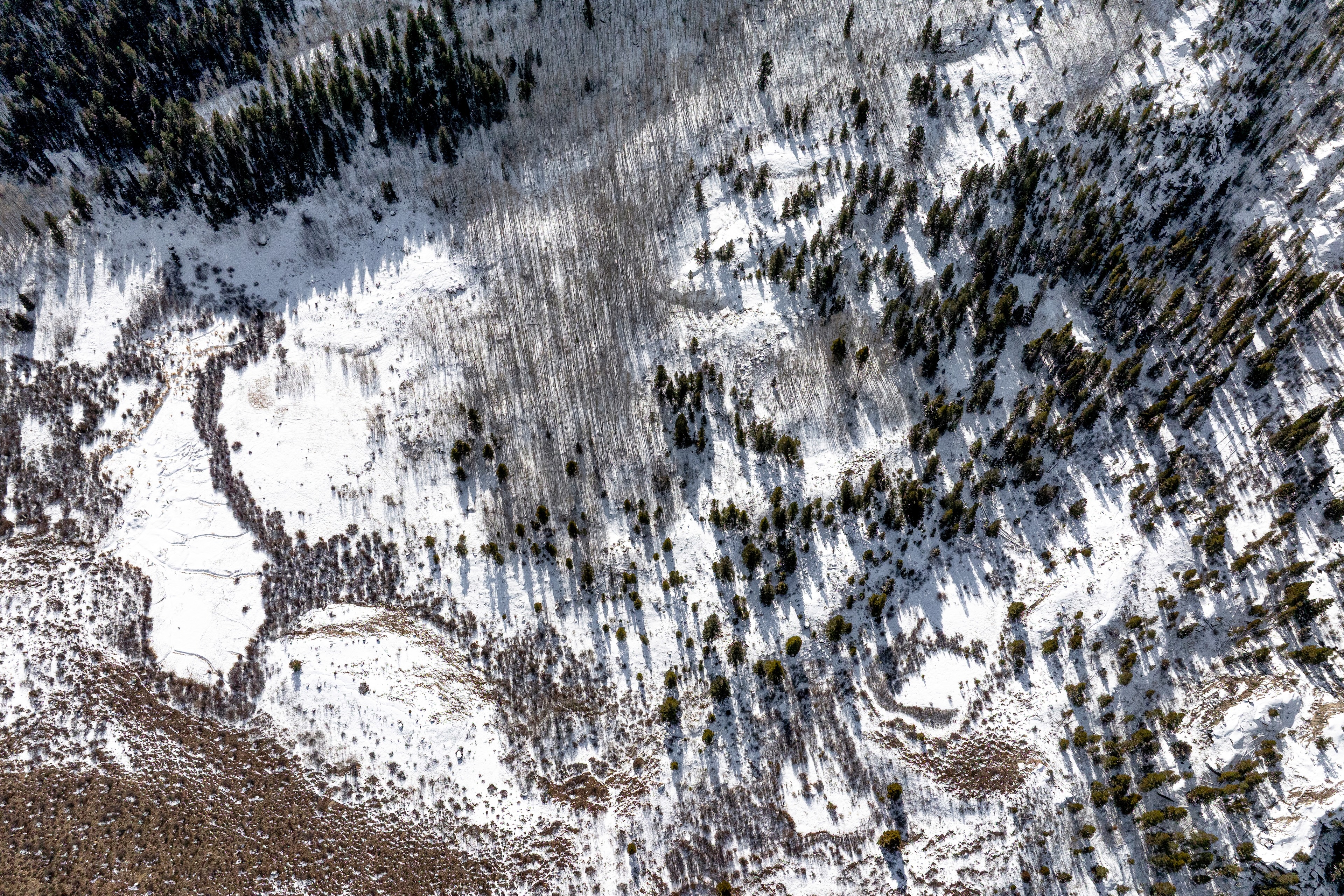 This aerial image showcases a forested area covered in snow, interspersed with patches of evergreen trees and bare deciduous trees. The landscape offers a glimpse of a serene, perhaps secluded, natural environment with potential for recreational activities. The image suggests the property is located in a cold climate with abundant natural beauty.