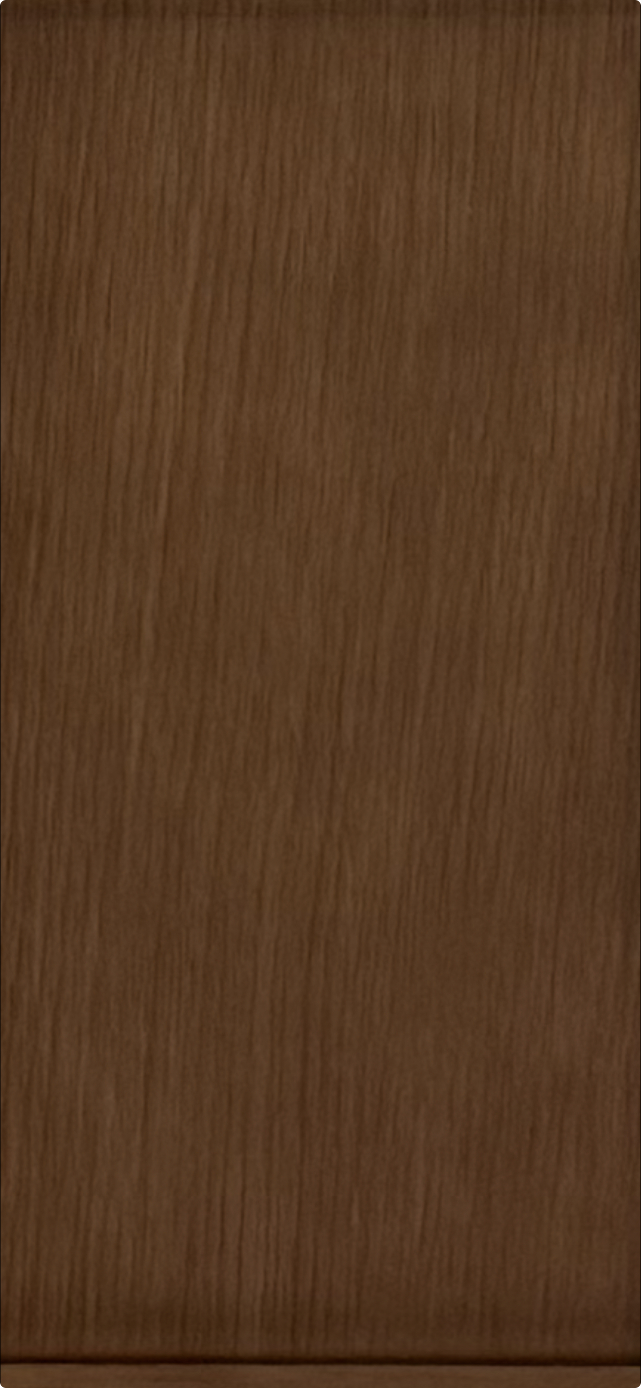 This image showcases a single cabinet door or drawer front featuring a rich, dark wood grain finish with vertical patterns. The minimalist, slab-style design suggests a contemporary or modern aesthetic, commonly found in custom cabinetry or high-end kitchen millwork. The clean lines and uniform wood texture provide a warm and sophisticated touch to any interior design.