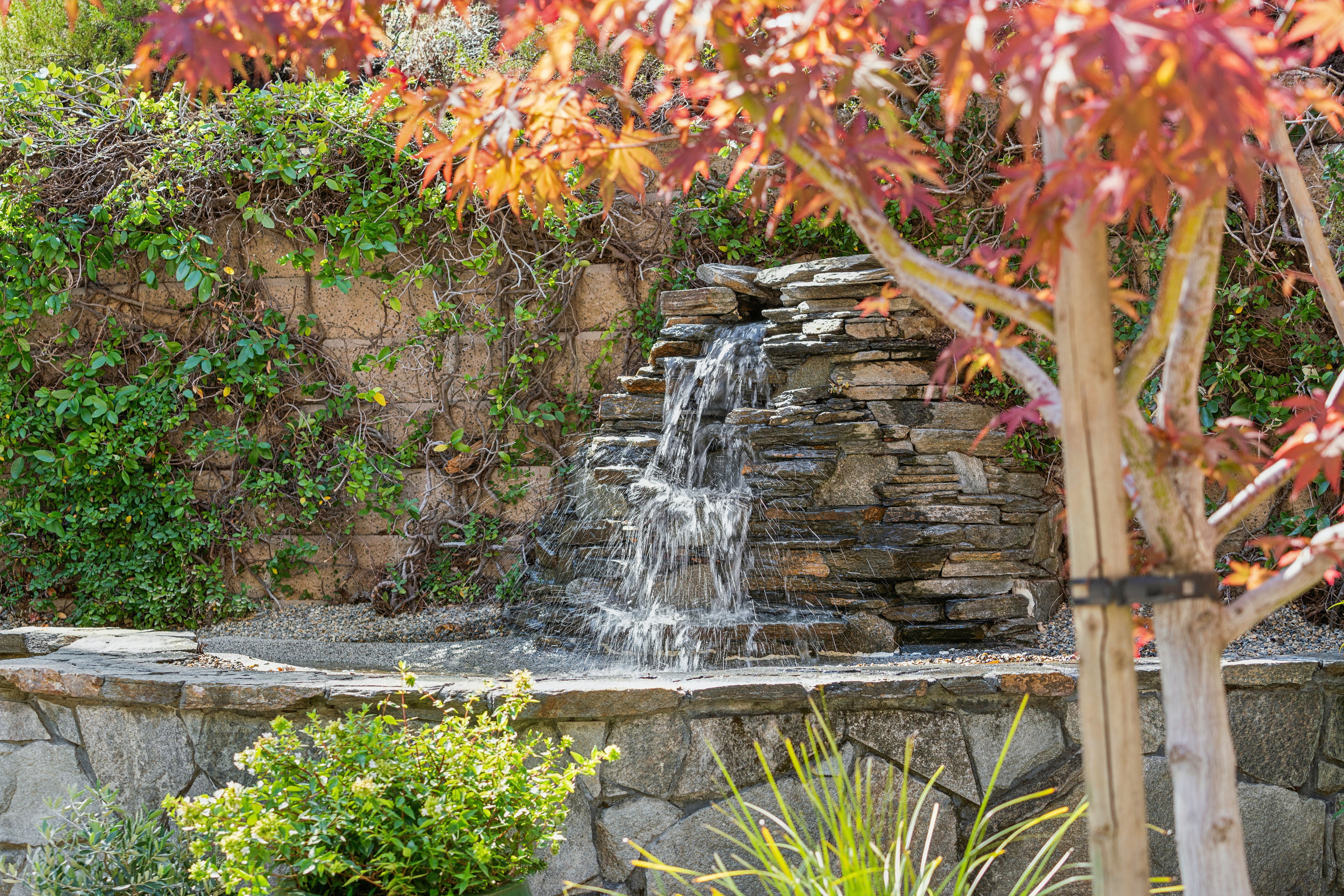 This serene garden scene features a tiered stone water feature that cascades into a small pond, set against a retaining wall covered in climbing vines. In the foreground, a low stone wall frames the garden, with lush green shrubs and ornamental grasses adding texture. The perspective is framed by the vibrant, warm-toned leaves of a foreground tree, creating a peaceful and inviting outdoor atmosphere.
