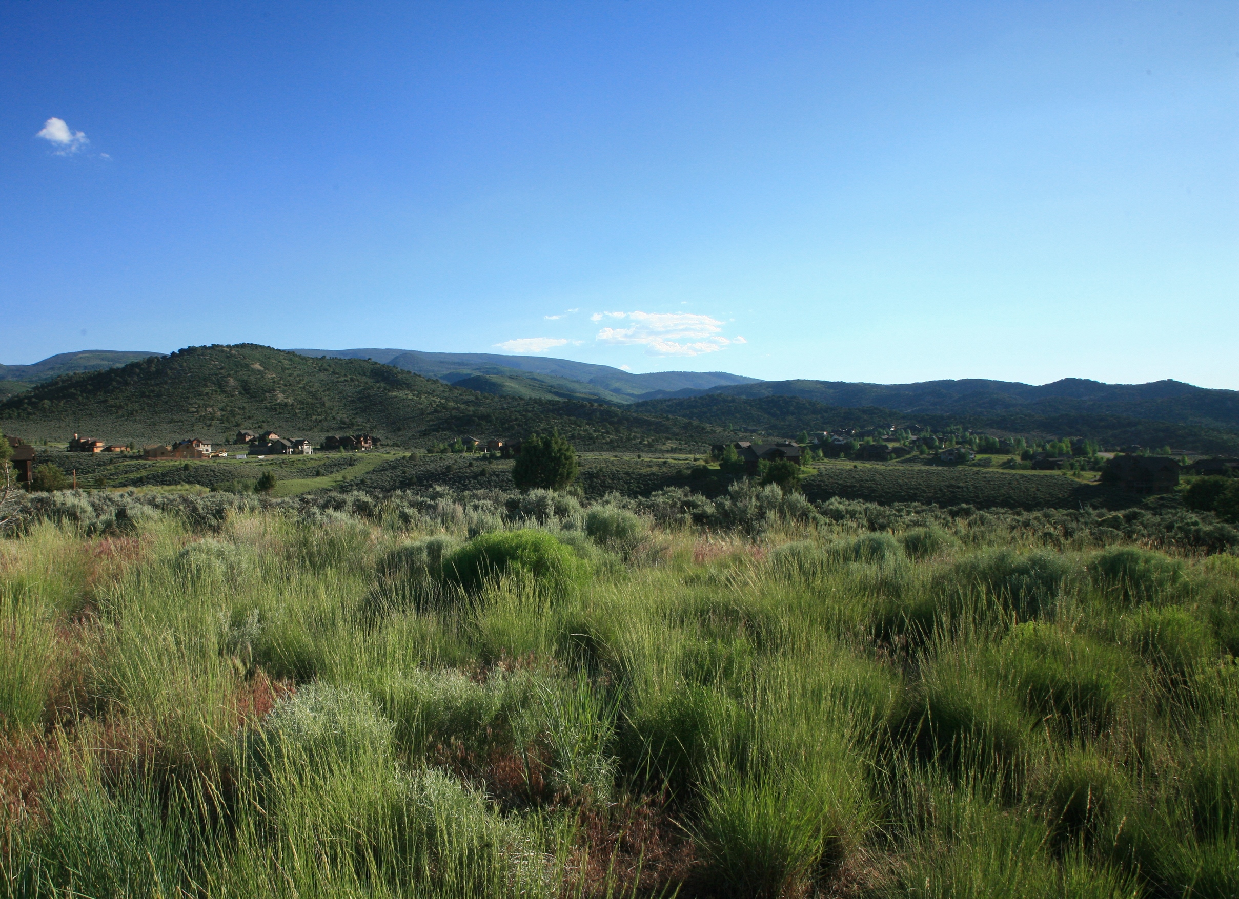 This image showcases a sprawling yard with natural grasses and sagebrush-like vegetation, characteristic of a mountainous landscape. In the background, a cluster of residential homes is nestled against the hillside. The open space provides a sense of privacy and connection with nature.