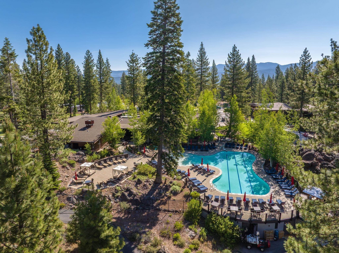 This aerial view showcases a stunning pool area surrounded by lush greenery and tall pine trees. The scene includes a meticulously arranged deck with seating and tables, alongside various lounge chairs and umbrellas offering relaxation by the pool. The property exudes a resort-like atmosphere, combining luxury and natural beauty.