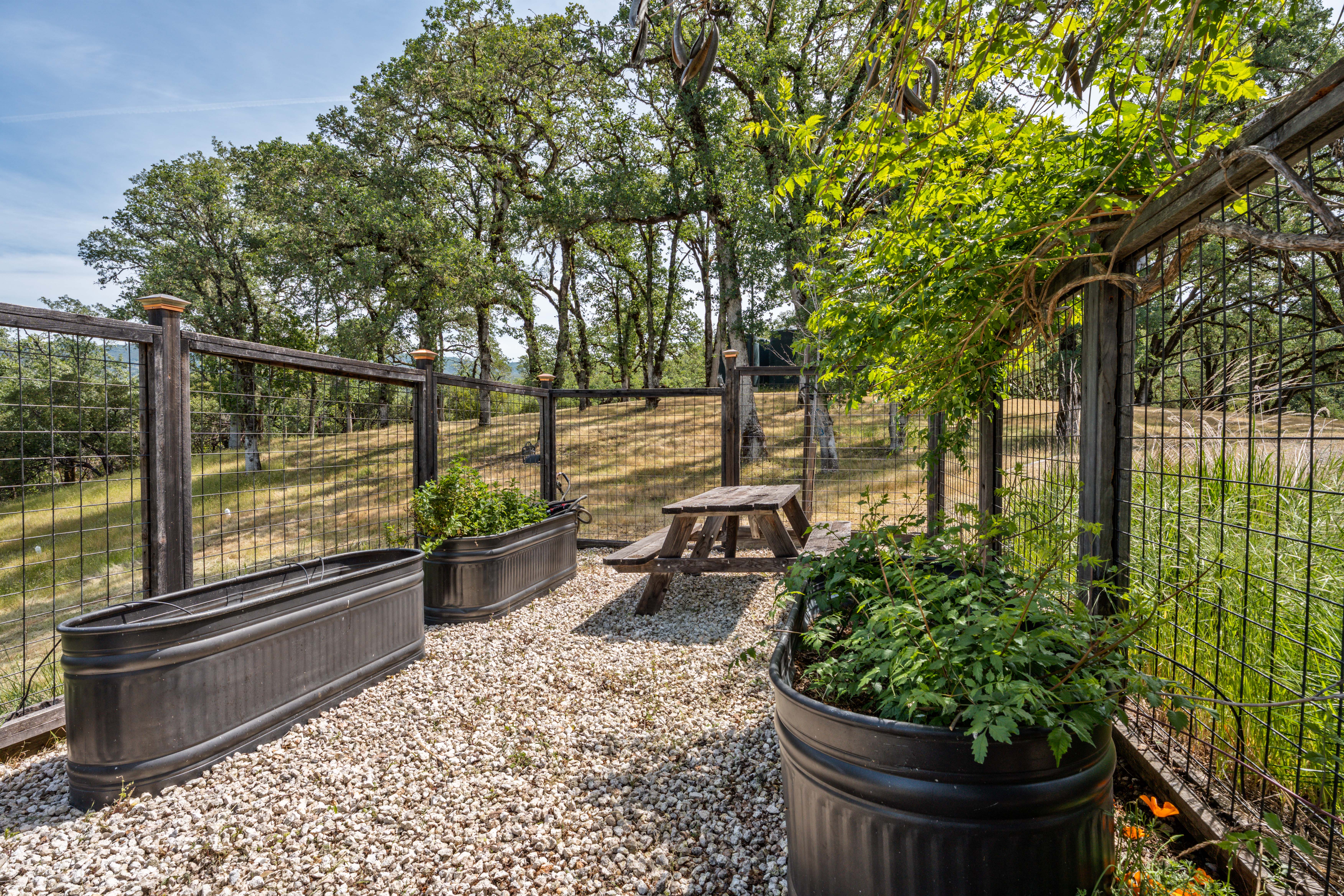 This outdoor garden space features three large, black metal raised planter beds arranged on a gravel patio, enclosed by a rustic wire fence. A wooden picnic table sits in the center, providing a cozy spot for outdoor dining or relaxation amidst the natural, hilly landscape. The scene is framed by mature oak trees in the background, creating a serene and functional backyard retreat.
