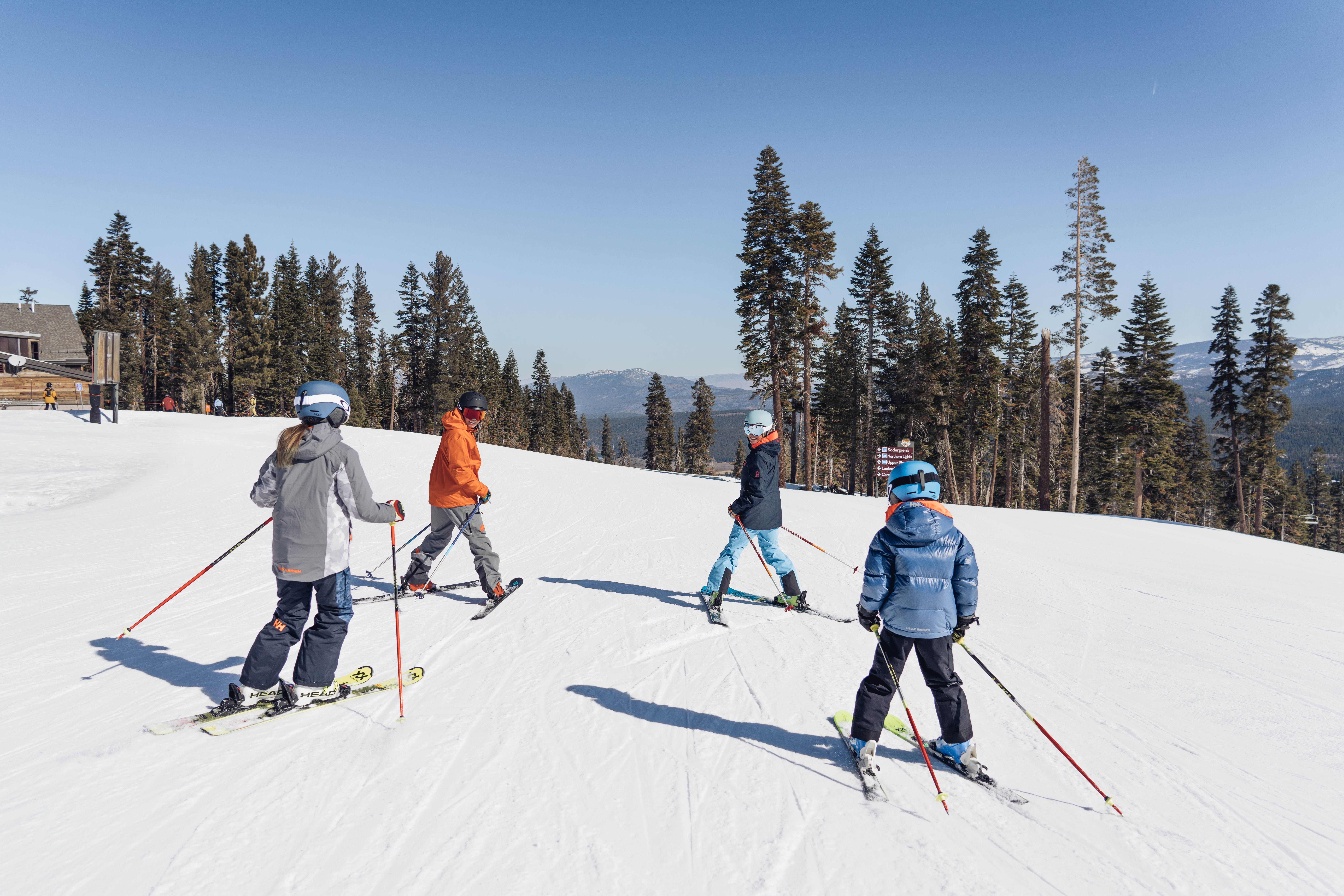 This image captures a group of four skiers navigating a groomed, snow-covered slope on a bright, sunny day. The scene features a clear blue sky, a dense forest of pine trees in the background, and a distant mountain range, highlighting the recreational appeal of the location. The perspective is from behind the skiers, emphasizing the expansive, open nature of the ski resort terrain.