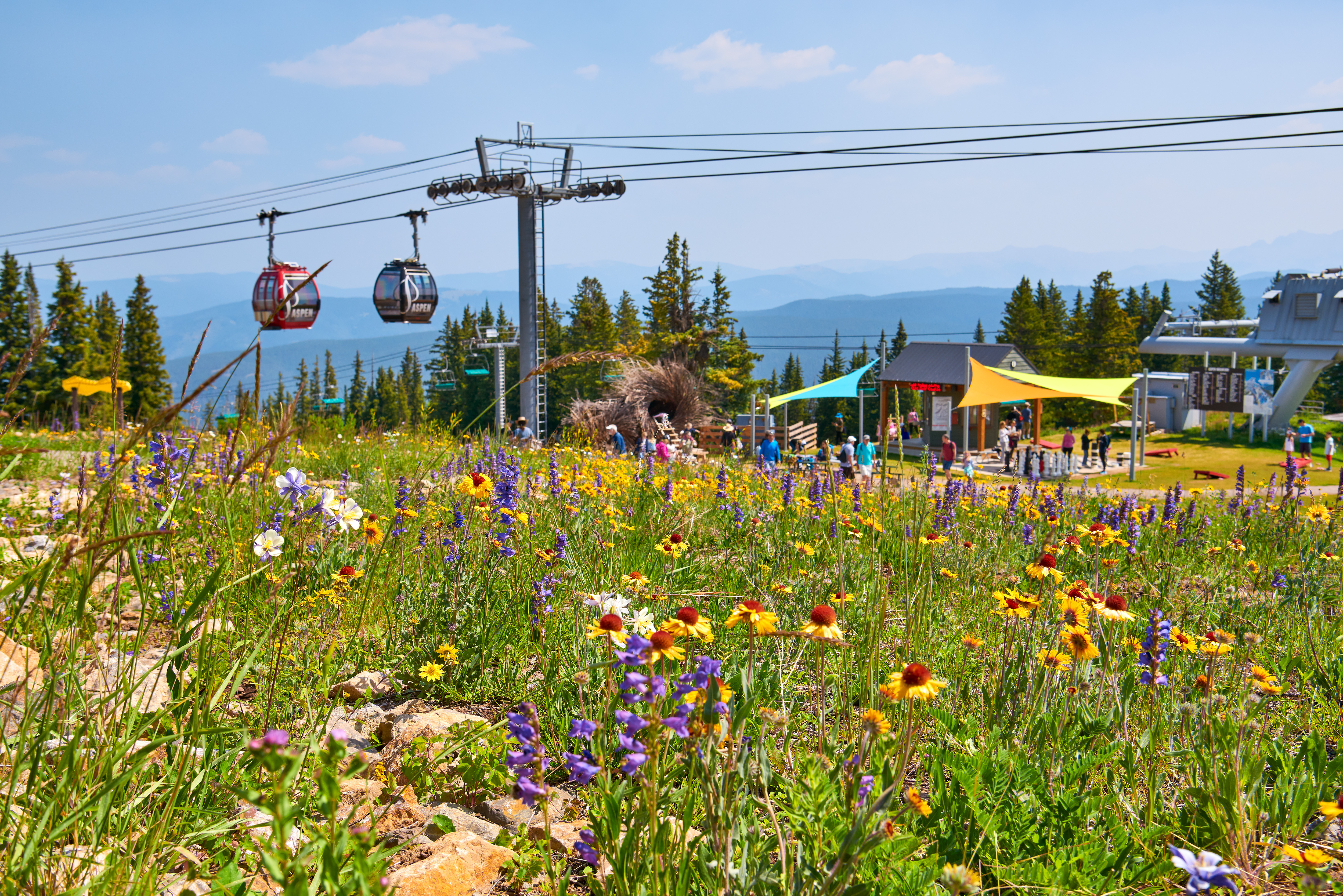 This outdoor location displays a scenic alpine environment featuring a wildflower-filled meadow in the foreground and a gondola lift system above. The recreational setting includes walking paths, shaded picnic pavilions, and a large communal area, making it an attractive leisure amenity for a mountain resort or village community. The bright, sunny atmosphere and panoramic landscape create a desirable and welcoming outdoor residential neighborhood feature.