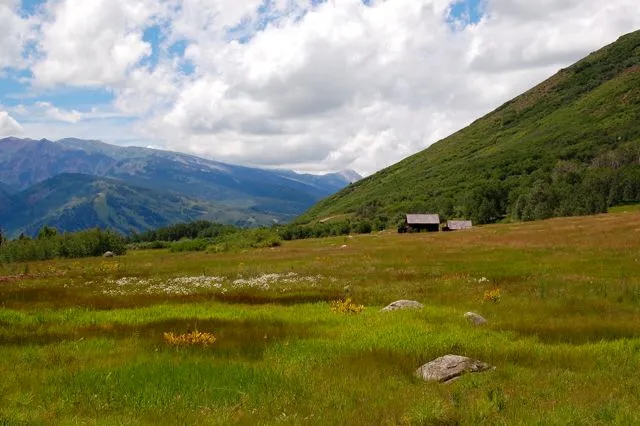 This picturesque landscape showcases a vast, vibrant green meadow featuring patches of wildflowers and scattered boulders. In the distance, a small, rustic shed sits at the base of a sweeping, lushly vegetated mountain slope under a dramatic, cloud-filled sky. The setting emphasizes a serene, pastoral environment, ideal for those seeking tranquility and expansive natural views.