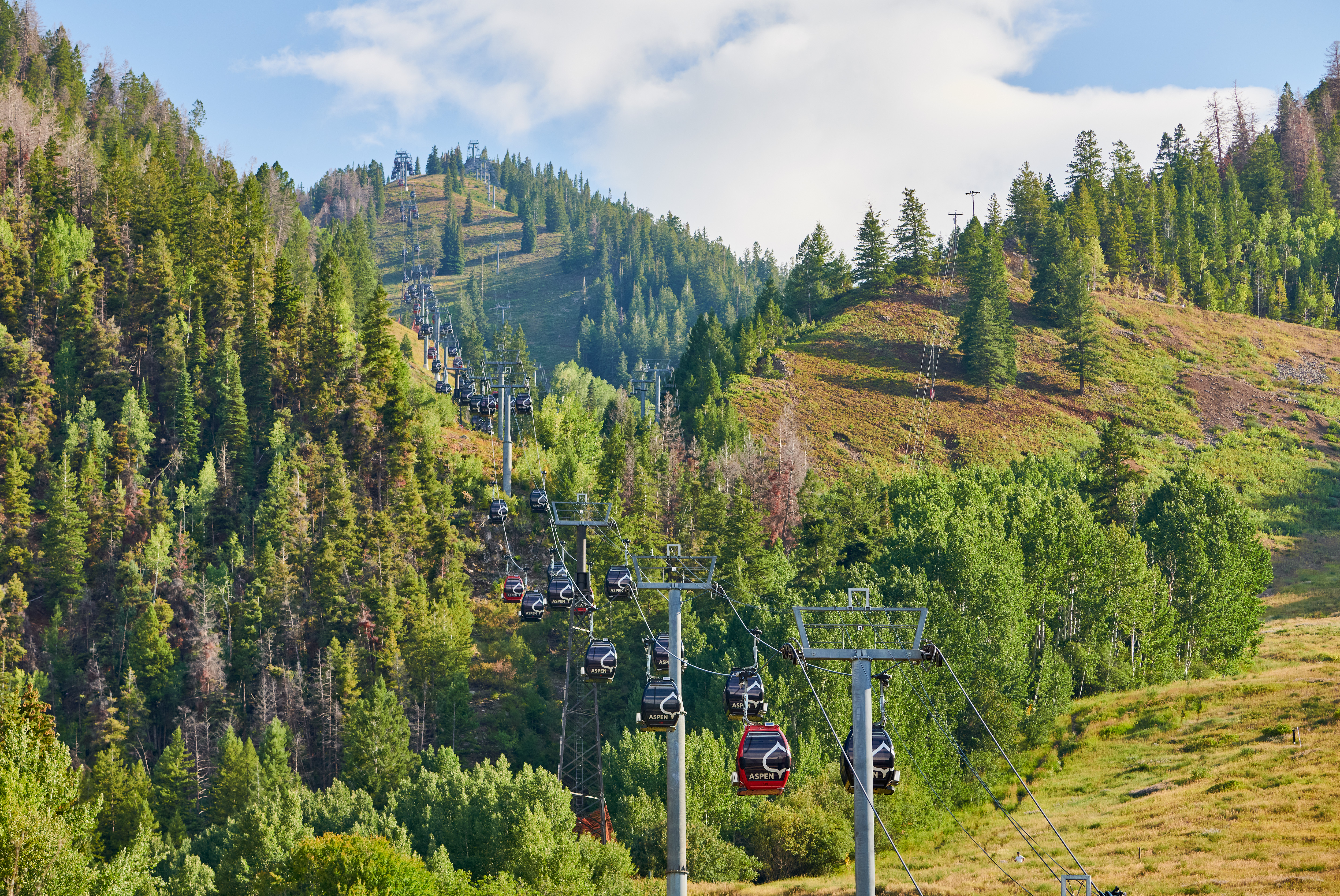 This image features the Aspen gondola system, a prominent community amenity that provides convenient access to mountain recreational activities. The scene captures numerous gondola cars ascending a lush, forested hillside, illustrating the scenic landscape and adventurous lifestyle offered in the area. This installation is a key feature for properties located in proximity to mountain resorts, highlighting the appeal of year-round recreational access.