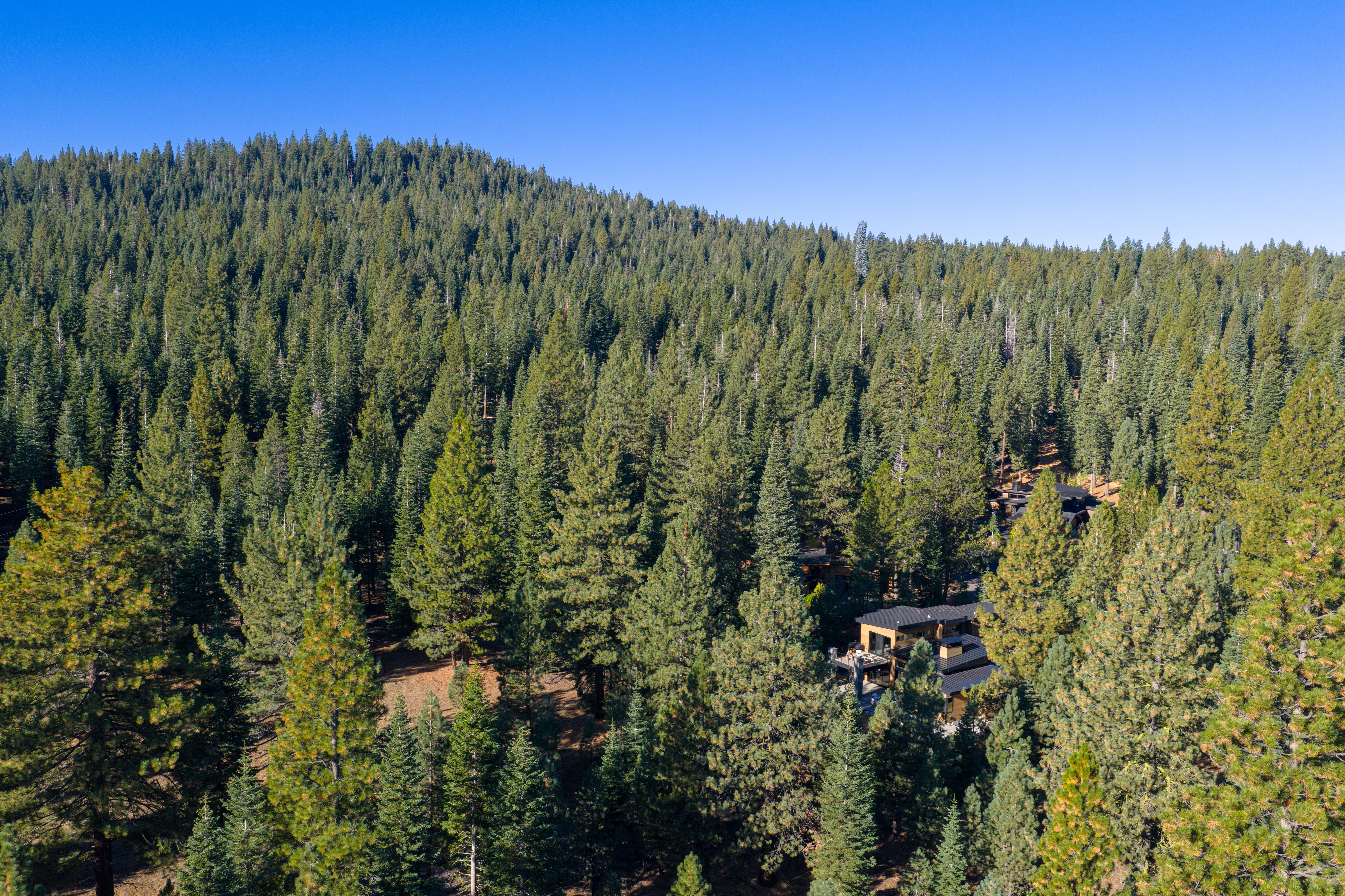 This aerial shot showcases a modern home nestled within a dense forest. The house features a dark roof and a multi-level deck, blending seamlessly with the surrounding trees. The vast expanse of evergreen trees creates a sense of privacy and seclusion, emphasizing the property's natural setting.