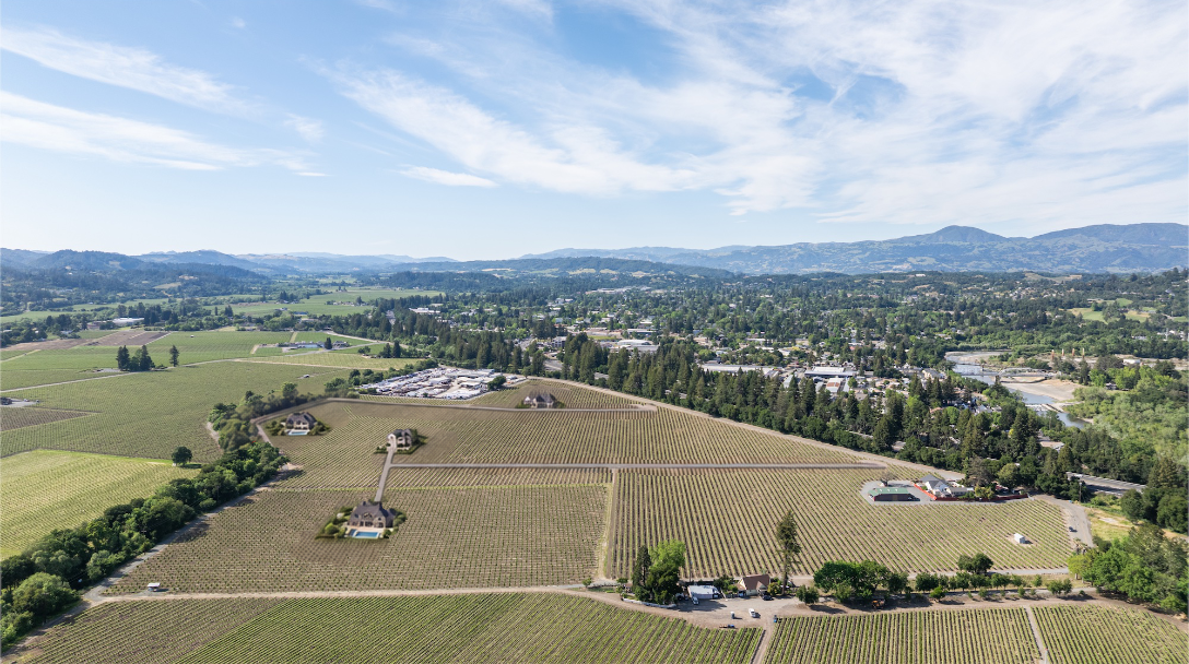 This high-altitude aerial view showcases a vast vineyard estate with digitally integrated house designs, illustrating potential development possibilities on the expansive plot. The property features neatly aligned vine rows, mature trees, and existing utility buildings, set against a backdrop of rolling hills and a nearby town. It offers a clear perspective on the generous land size and the potential for a sprawling, high-end residential layout.