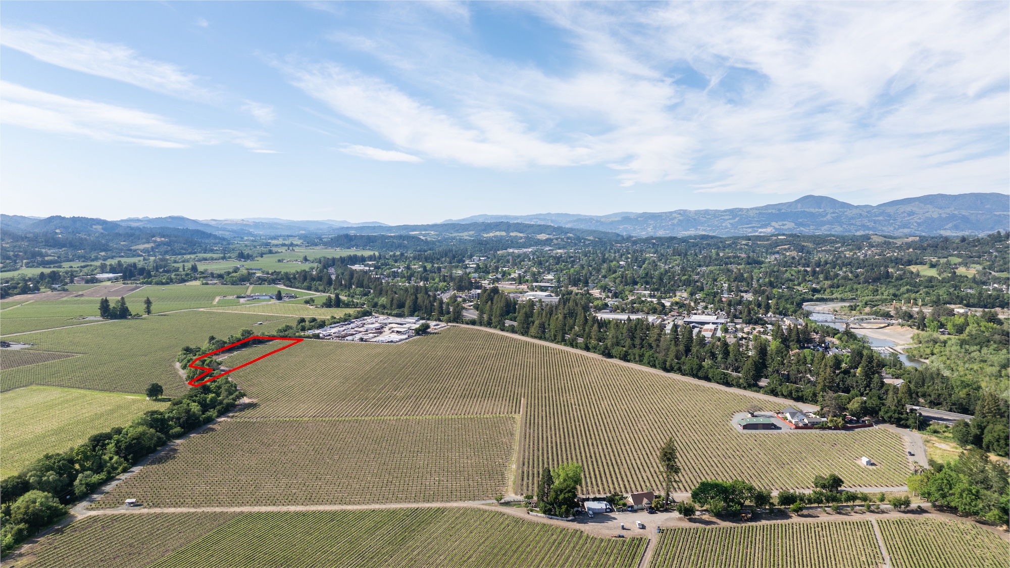 This high-altitude aerial view showcases a expansive vineyard property in a valley setting. The land features orderly rows of vines with a highlighted rectangular plot, surrounded by mature trees, rural infrastructure, and a distant town, emphasizing the property's vast scale and agricultural potential.