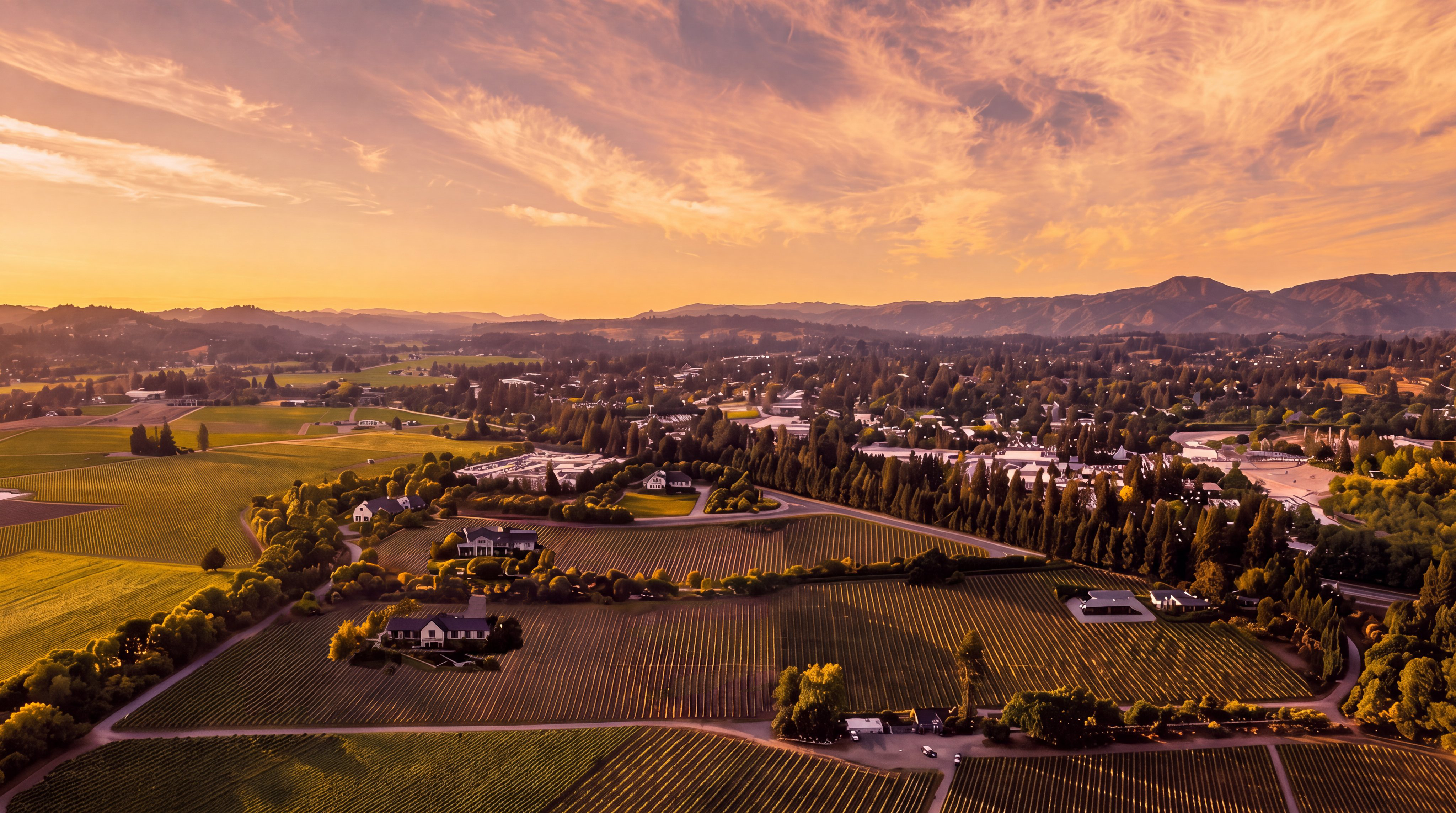 This stunning aerial view captures a vast vineyard estate set against a picturesque sunset and rolling hills. The property features neatly manicured rows of grapevines, several elegant residential homes, and mature trees, creating a serene and sophisticated atmosphere. It is an ideal representation of a premium viticultural landscape with significant scenic appeal.