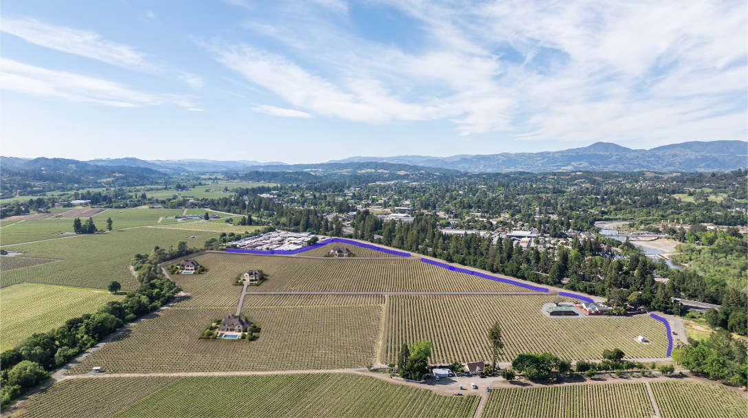 This wide aerial shot showcases a expansive vineyard estate with multiple luxury residences integrated into the landscape. The property features neatly manicured rows of grapevines, paved access paths, and private swimming pools, all set against a beautiful mountain backdrop. It presents a serene and high-end rural living environment, ideal for those seeking a premium vineyard lifestyle.