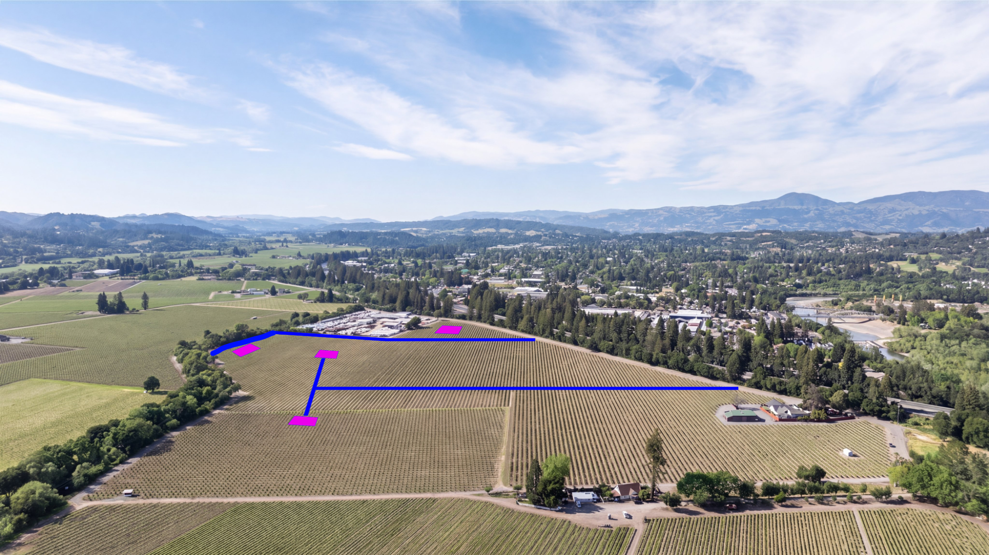 This wide aerial view showcases a sprawling vineyard estate situated in a picturesque valley with distant mountain ranges. The property features expansive, neatly organized rows of vines, several rural outbuildings, and mature tree-lined borders. The image includes blue and magenta overlays, highlighting specific property boundaries or areas of interest for potential development or land assessment.