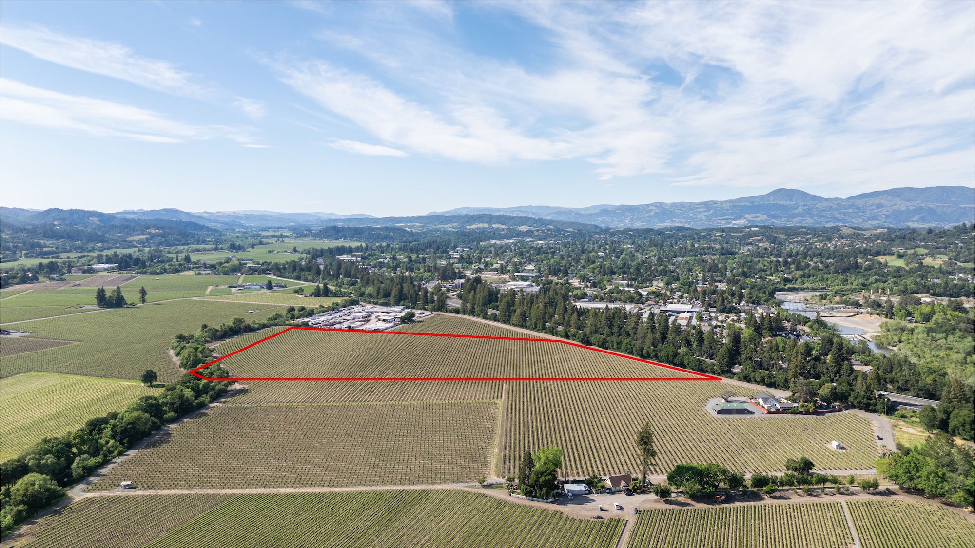 This aerial view showcases a sprawling vineyard estate situated in a picturesque landscape with rolling hills in the distance. The property features extensive rows of grapevines, with a large, highlighted rectangular section emphasizing the main plot. The setting is ideal for agricultural or development interest, capturing a tranquil, rural atmosphere while remaining relatively close to a developed town area.