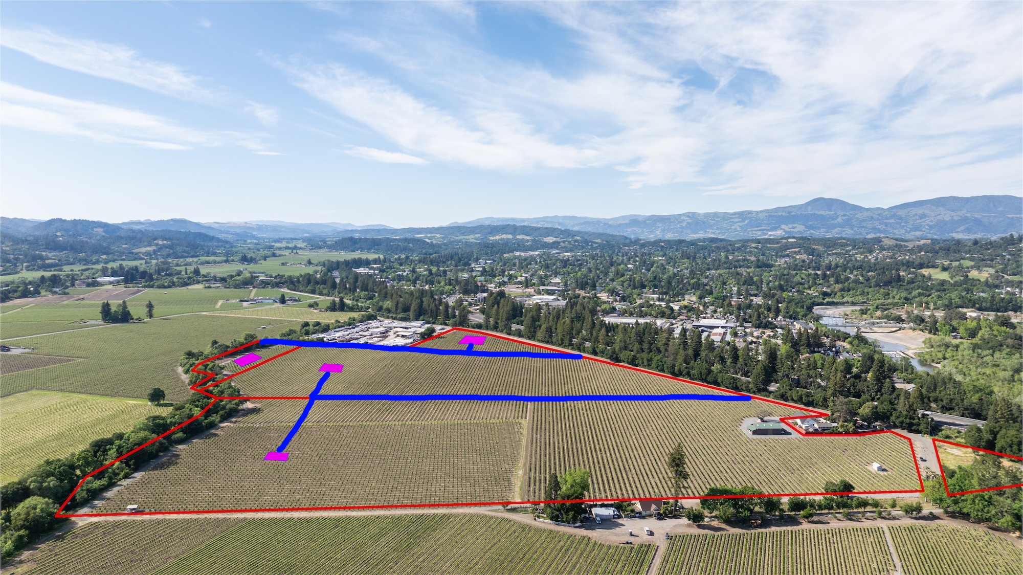 This is an aerial view of a expansive vineyard property marked with boundary lines. The image showcases rows of grapevines across the landscape, complemented by scattered buildings, mature trees, and nearby residential or commercial areas. It presents a clear overview of the land potential and agricultural layout, ideal for a real estate listing highlighting a large estate or winery opportunity.