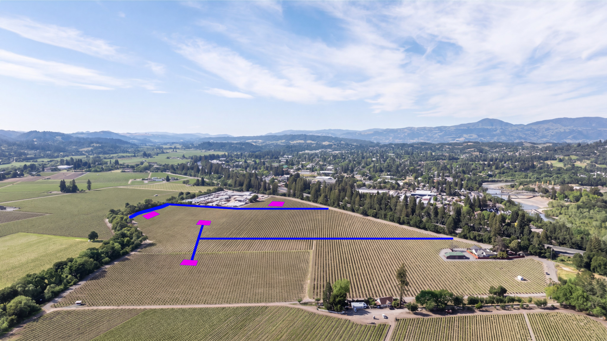This is a high-altitude aerial view of an expansive vineyard estate, showcasing rows of grapevines and established trees. The property includes a small cluster of structures and is surrounded by a larger landscape featuring a mix of agricultural land and suburban development. The image provides a clear sense of the property's scale, rural setting, and potential for estate or agricultural development.