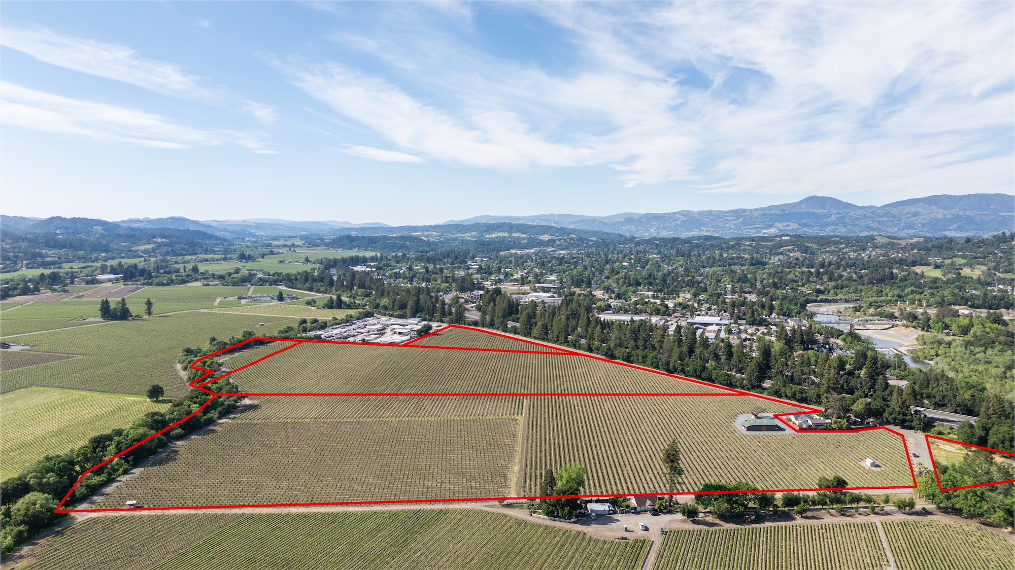 This is a comprehensive aerial view of a large vineyard property outlined with a red border, highlighting the extensive planting rows. The landscape is set against a backdrop of distant mountains, showcasing a serene rural environment. The property includes a few small outbuildings, emphasizing its agricultural utility and spacious nature.