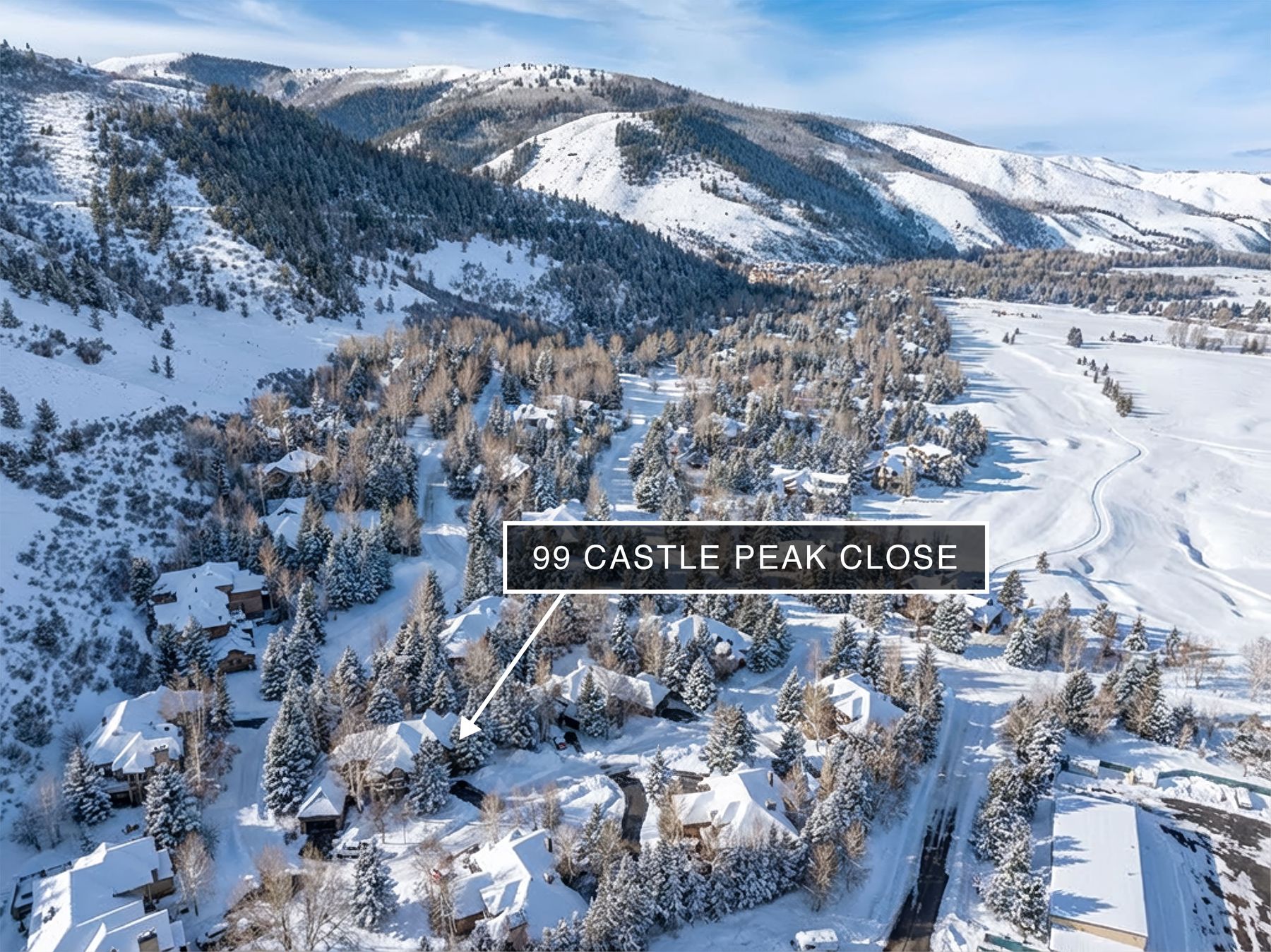 This high-angle aerial shot captures a residential neighborhood nestled in a snowy, mountainous landscape. The scene features several homes surrounded by dense, snow-covered pine trees, with a clear road winding through the community and a vast, open snow-covered field to the right. The perspective emphasizes the property's secluded, alpine setting and its proximity to nature.