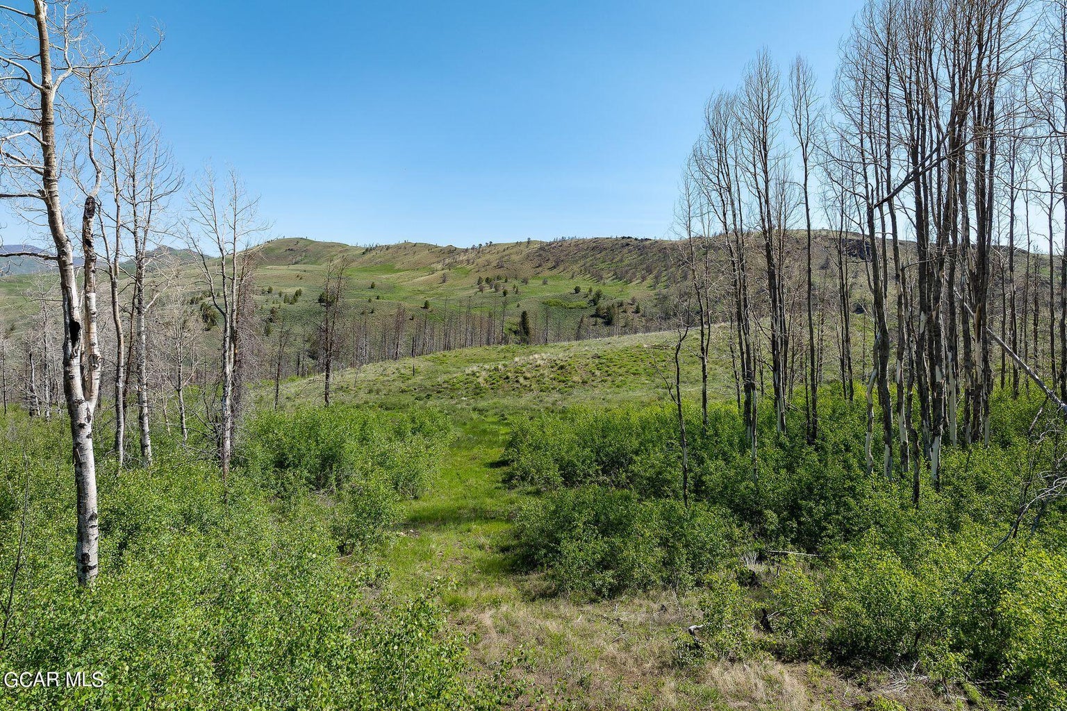 This landscape shot captures an expansive plot of land featuring a mix of green shrubs, tall aspen trees, and patches of open grass. The terrain slopes gently into the background, revealing rolling hills under a bright, clear blue sky. It provides a scenic view of natural, undeveloped terrain suitable for outdoor recreation or peaceful living.