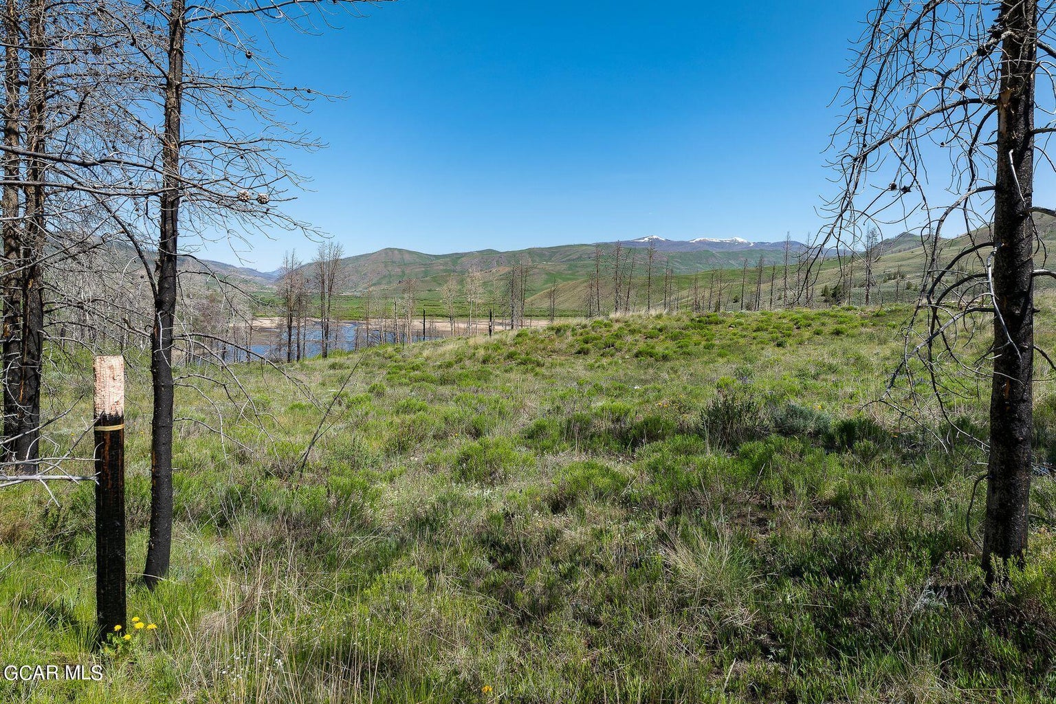 This image showcases a scenic, expansive plot of land, ideal for building or development. It features native grasses, low-lying shrubs, and mature trees, with spectacular mountain and reservoir views in the background. The natural landscape provides a sense of seclusion and rugged beauty, perfect for those seeking an outdoor-oriented property.