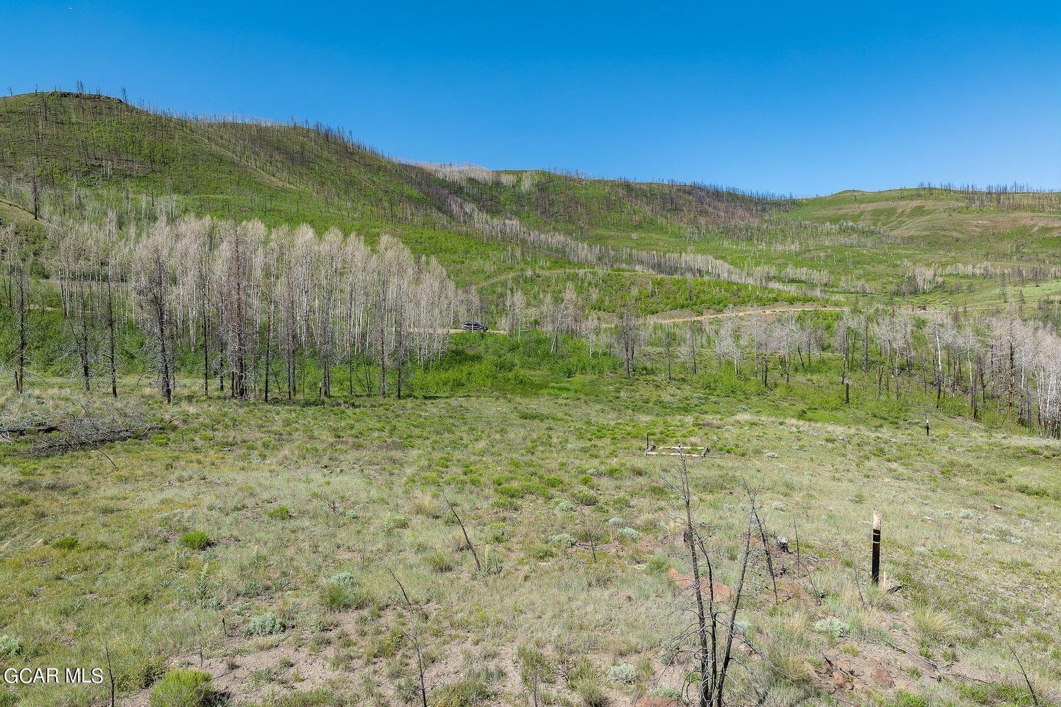 This wide, elevated shot captures a large parcel of open land characterized by a mix of grassy plains and a grove of slender, light-barked trees. The background features rolling hills showing signs of past forest fire recovery, with a clear blue sky overhead. The landscape offers significant potential for development or outdoor recreation, providing a sense of expansive, serene wilderness.