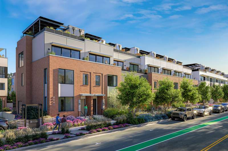 A Canvas of Light and Possibility in Willow Brook